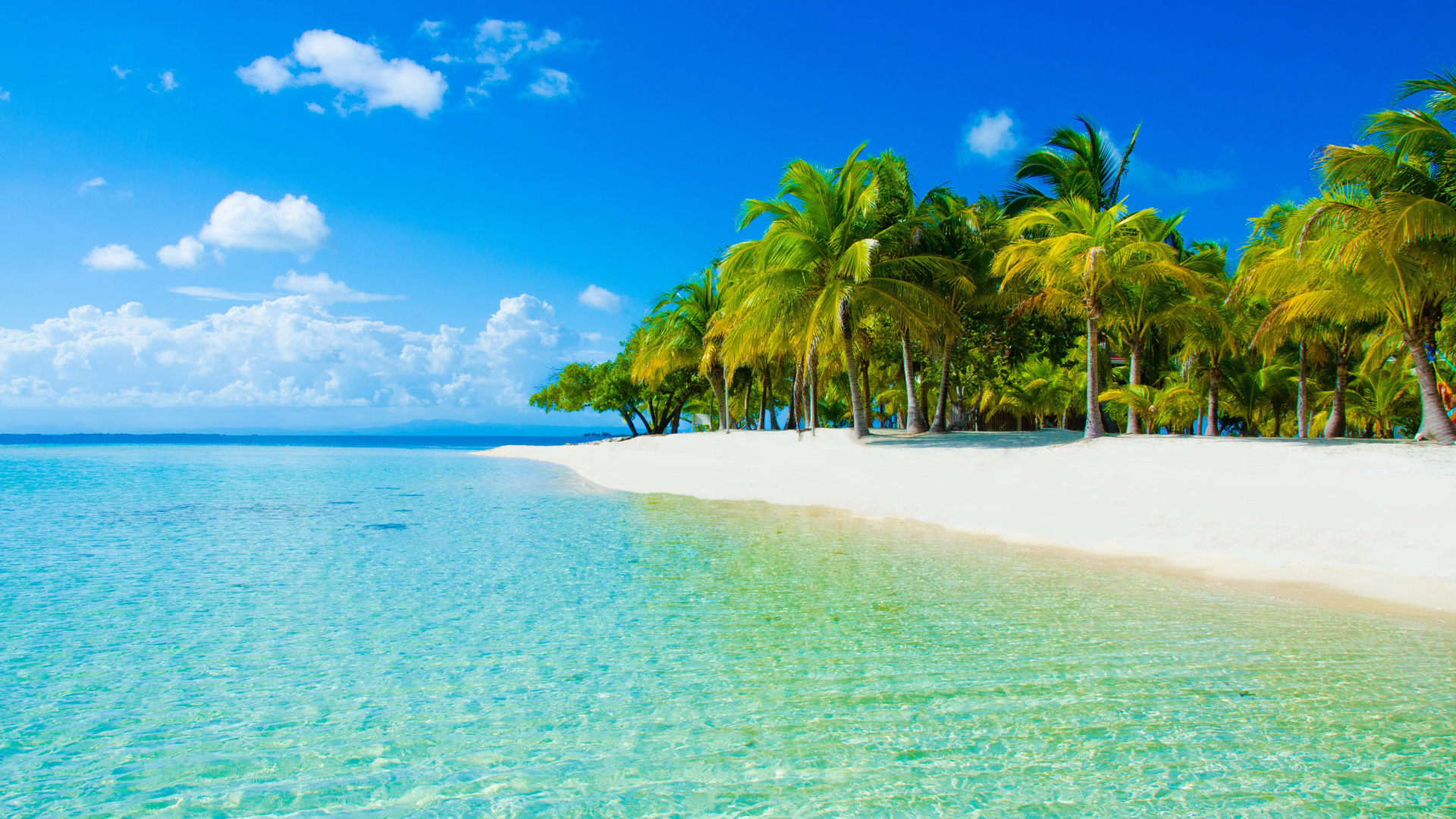 Green Palm Tree on White Sand Beach During Daytime. Wallpaper in 1920x1080 Resolution