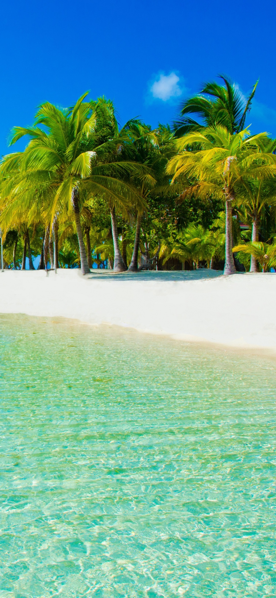 度假村, 热带地区, 大海, 海洋, 加勒比 壁纸 1125x2436 允许