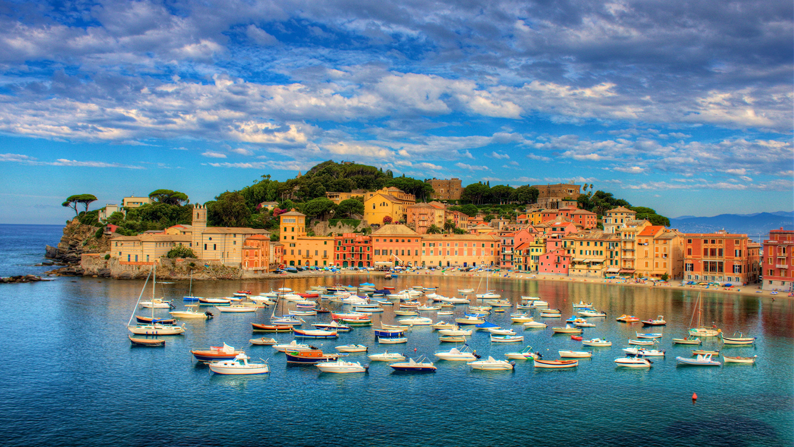 White Boats on Sea Near Green Trees Under Blue Sky During Daytime. Wallpaper in 2560x1440 Resolution