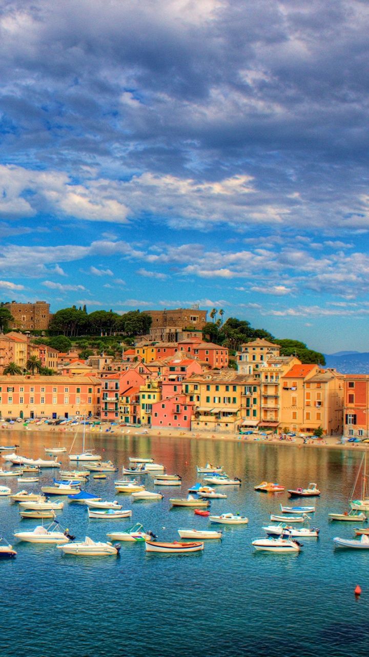 White Boats on Sea Near Green Trees Under Blue Sky During Daytime. Wallpaper in 720x1280 Resolution