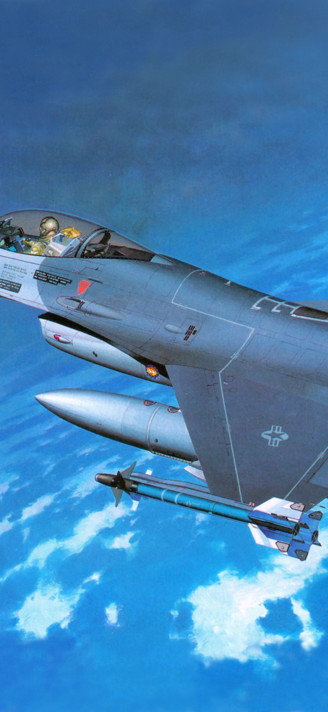 Avión de Combate Gris Volando en el Cielo. Wallpaper in 1125x2436 Resolution