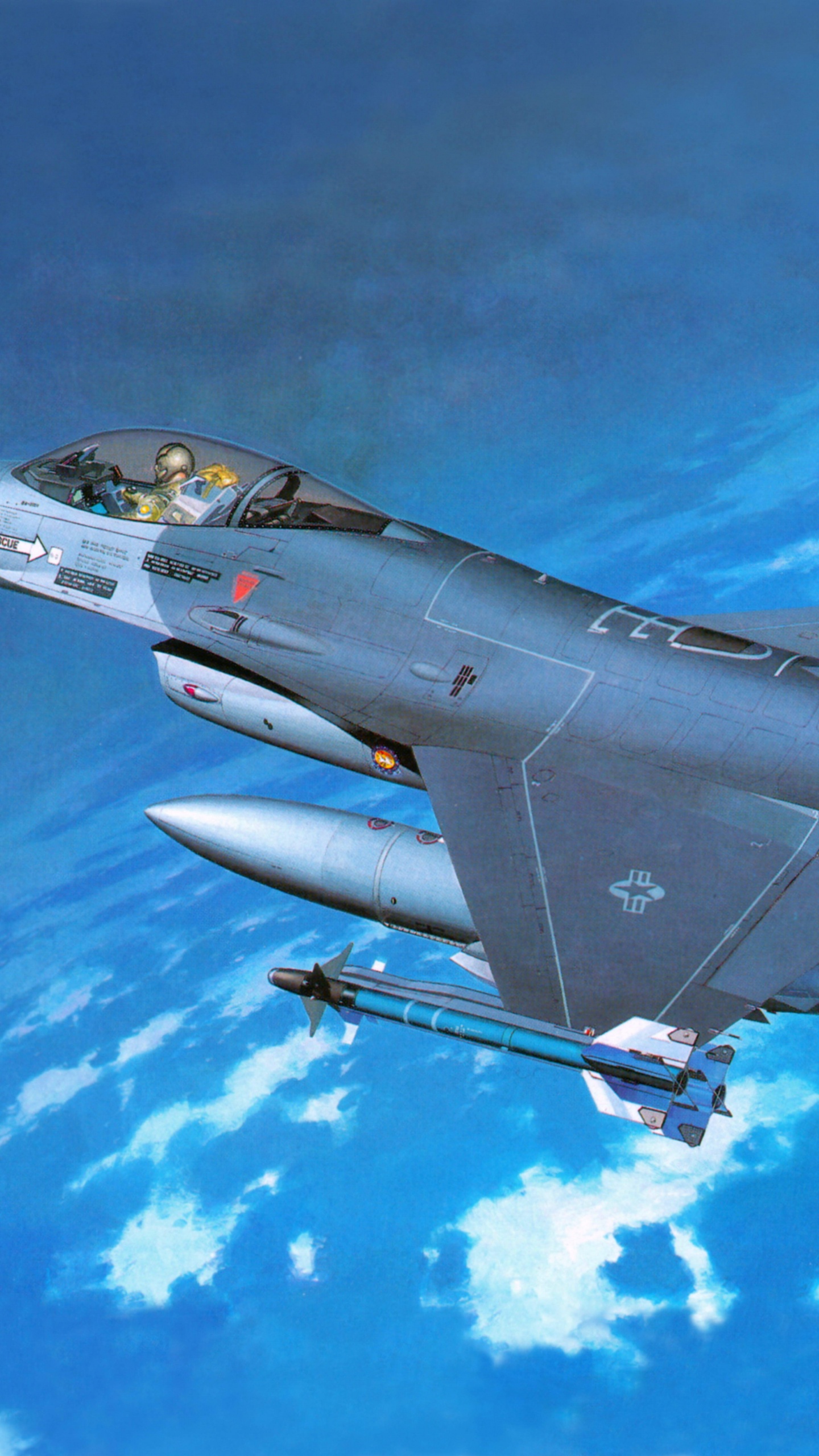 Avión de Combate Gris Volando en el Cielo. Wallpaper in 1440x2560 Resolution