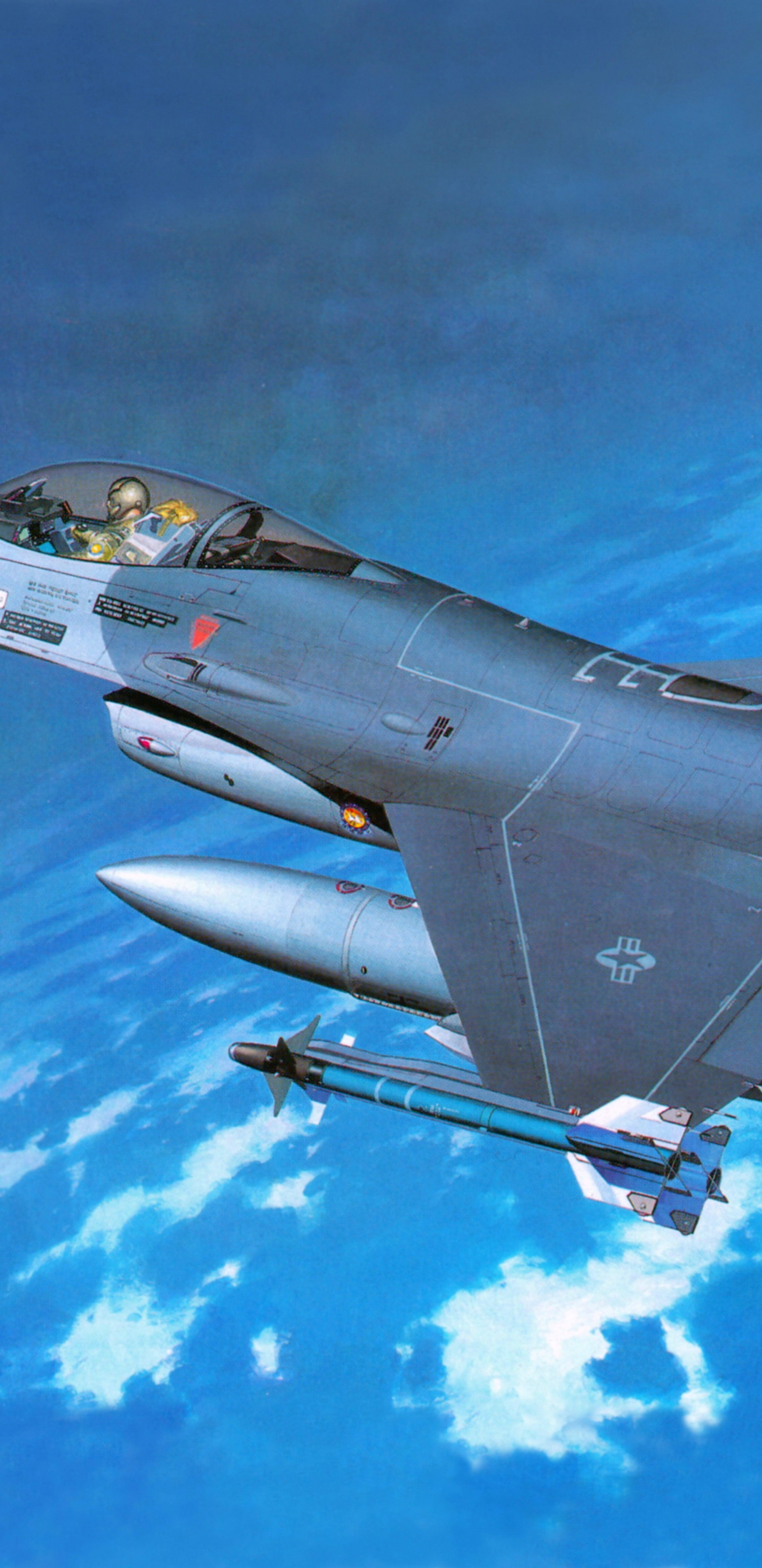 长谷川公司, 塑料模型, 军用飞机, 航空, 空军 壁纸 1440x2960 允许