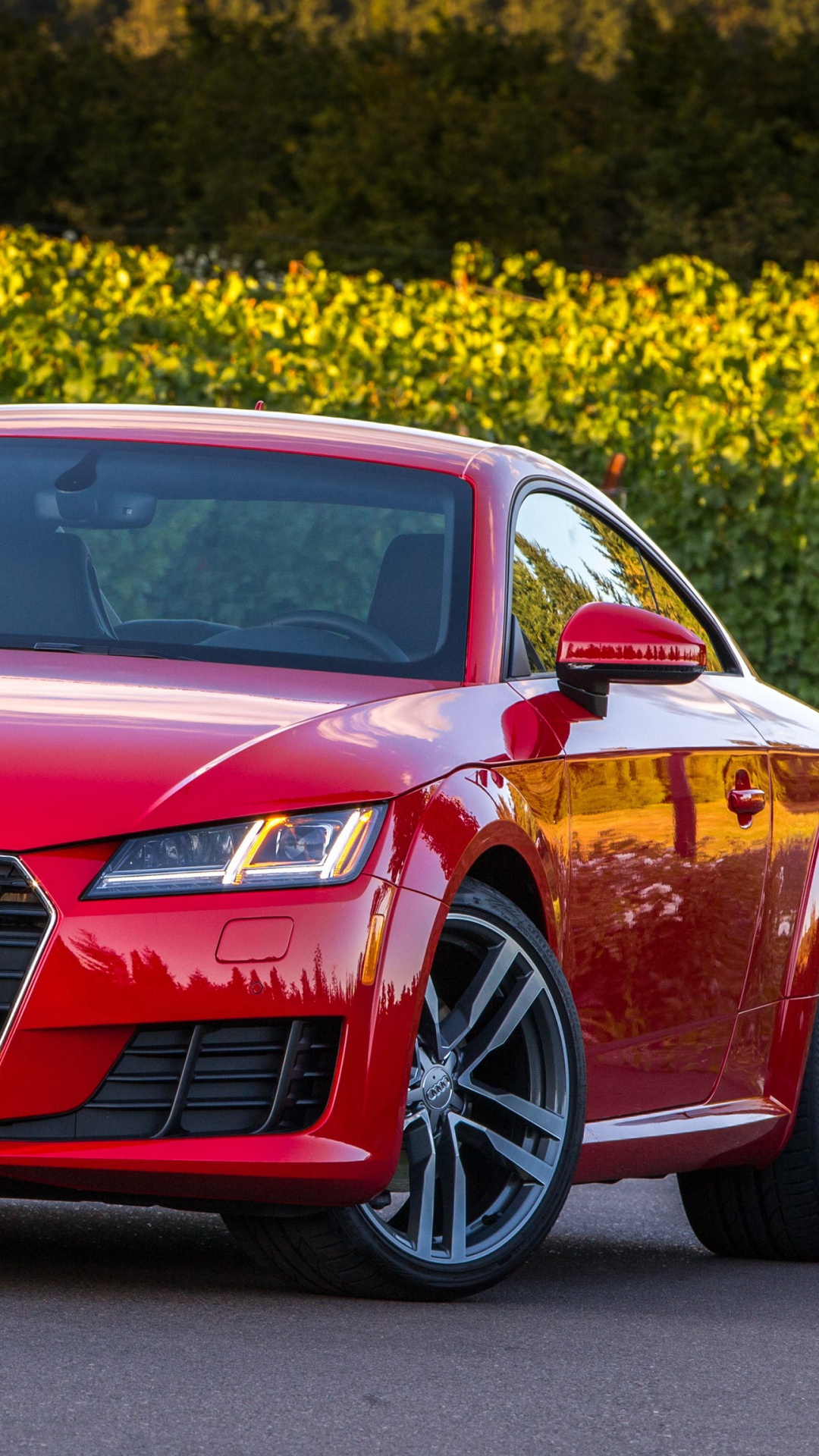 Red Audi Coupe on Road During Daytime. Wallpaper in 1080x1920 Resolution