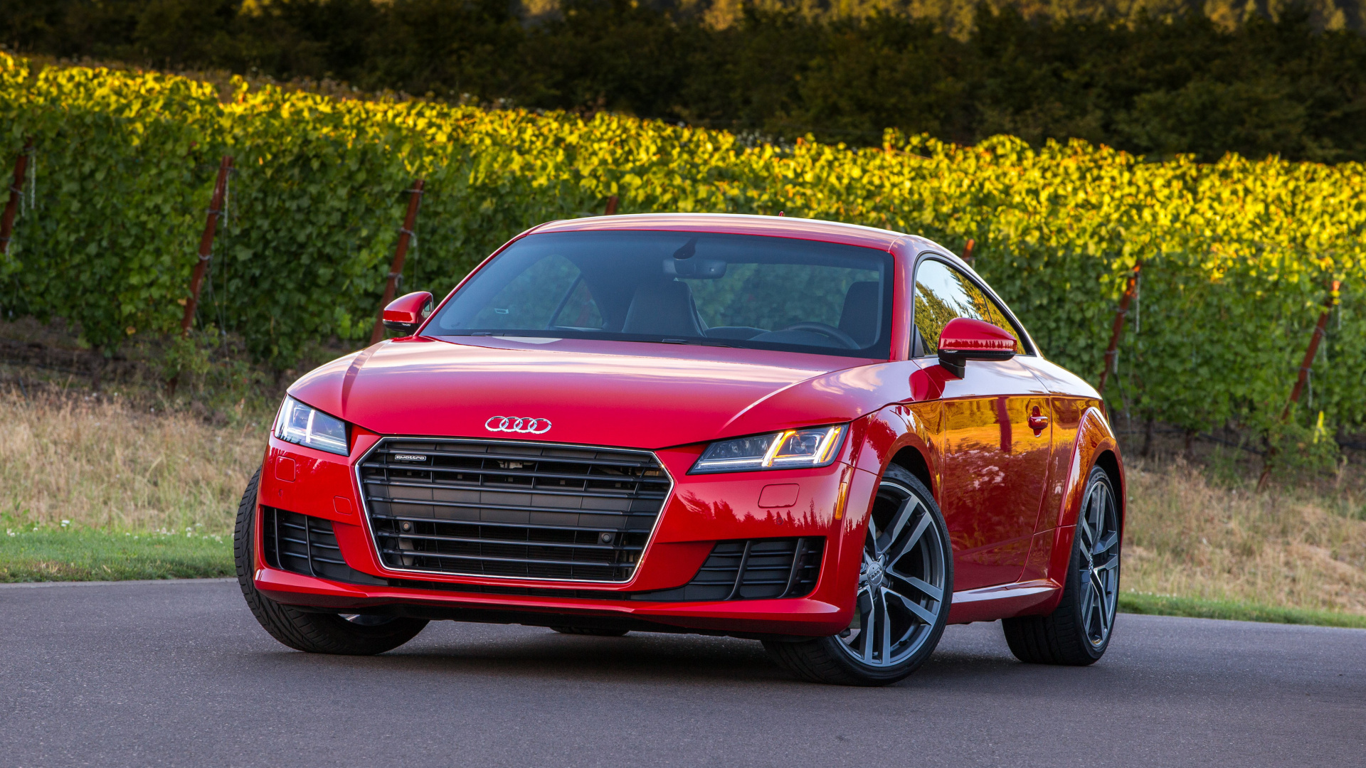 Red Audi Coupe on Road During Daytime. Wallpaper in 1920x1080 Resolution
