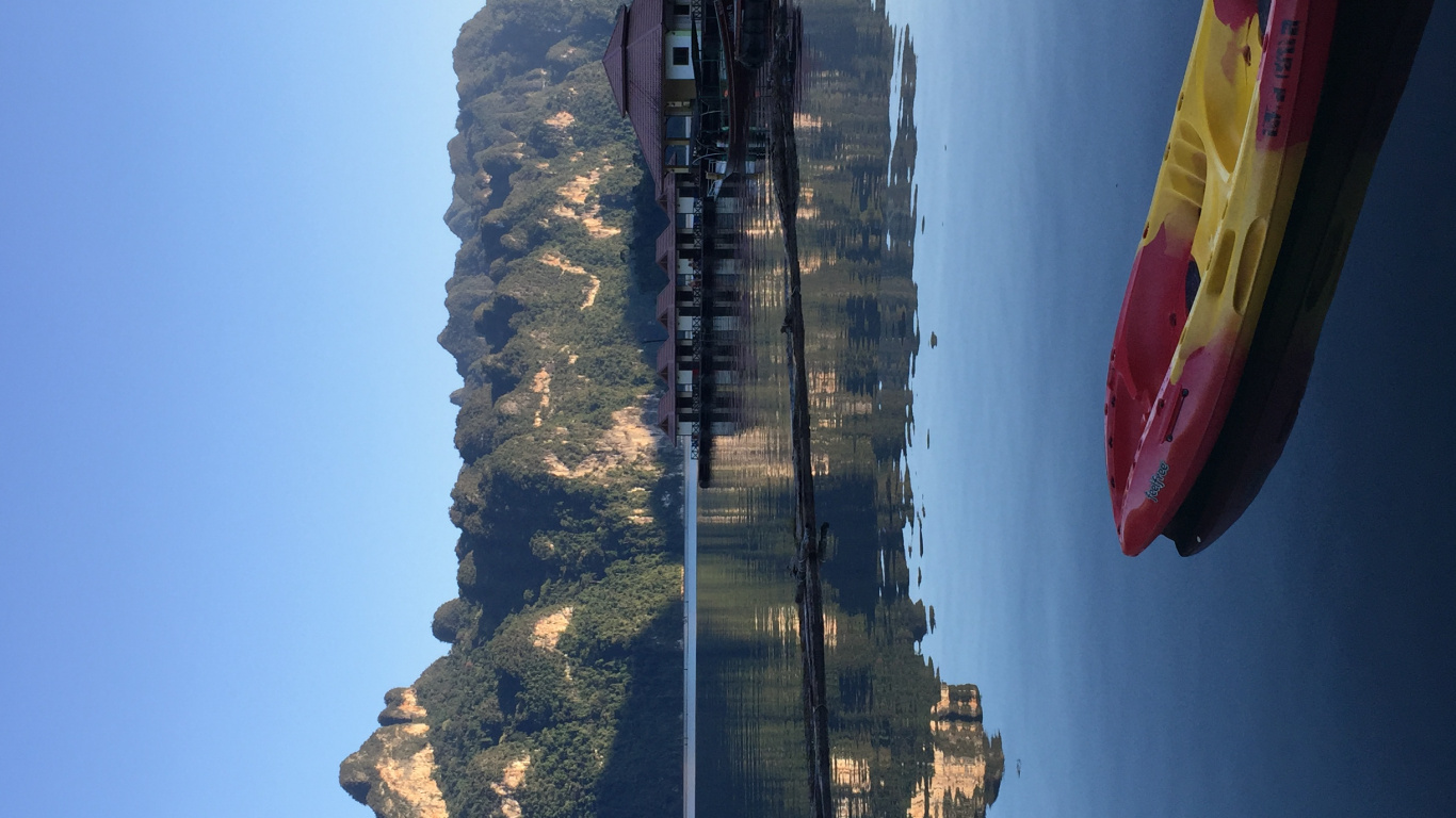 反射, 人体内的水, 性质, 植被, 塔块 壁纸 1366x768 允许