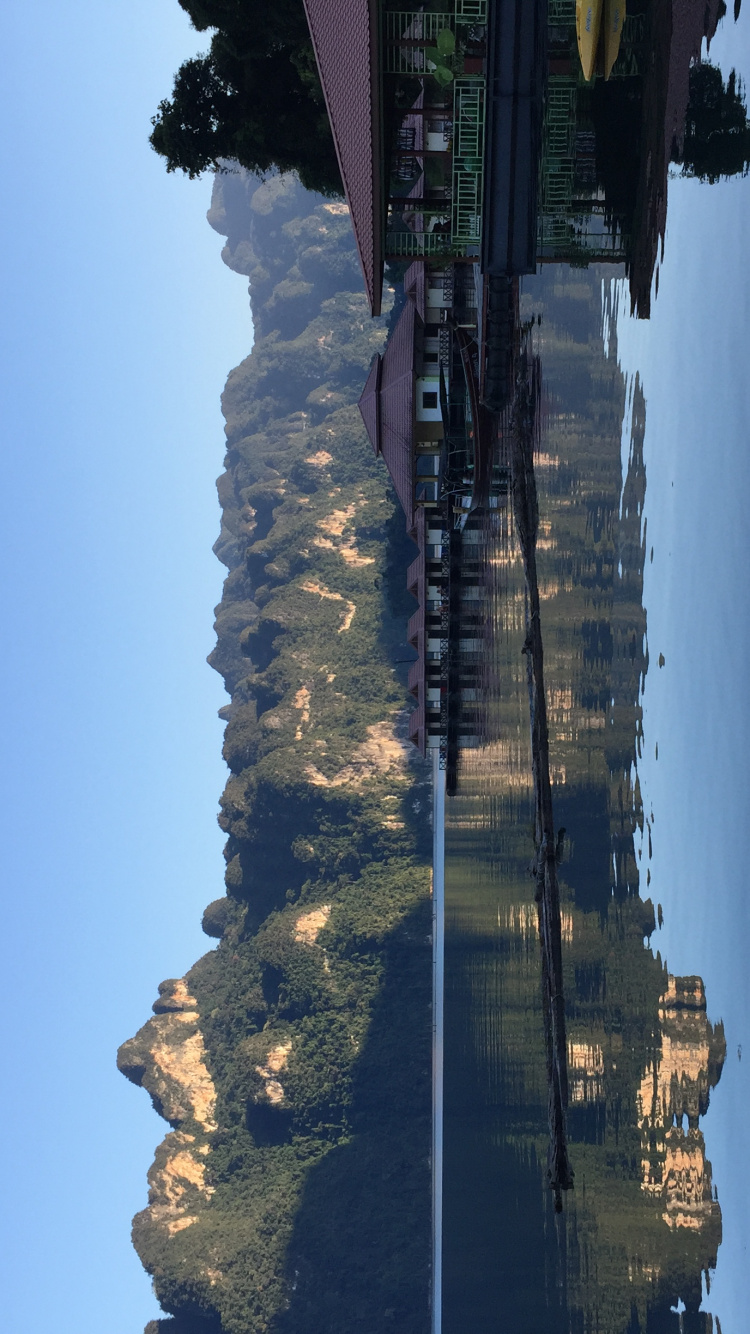 反射, 人体内的水, 性质, 植被, 塔块 壁纸 750x1334 允许