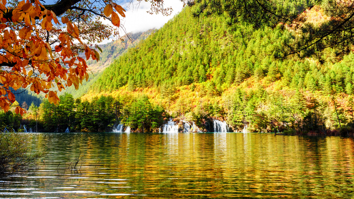 Green Trees Near Body of Water During Daytime. Wallpaper in 1366x768 Resolution