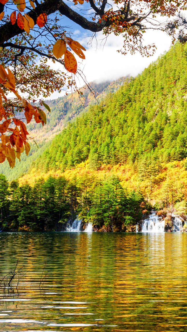 Green Trees Near Body of Water During Daytime. Wallpaper in 720x1280 Resolution