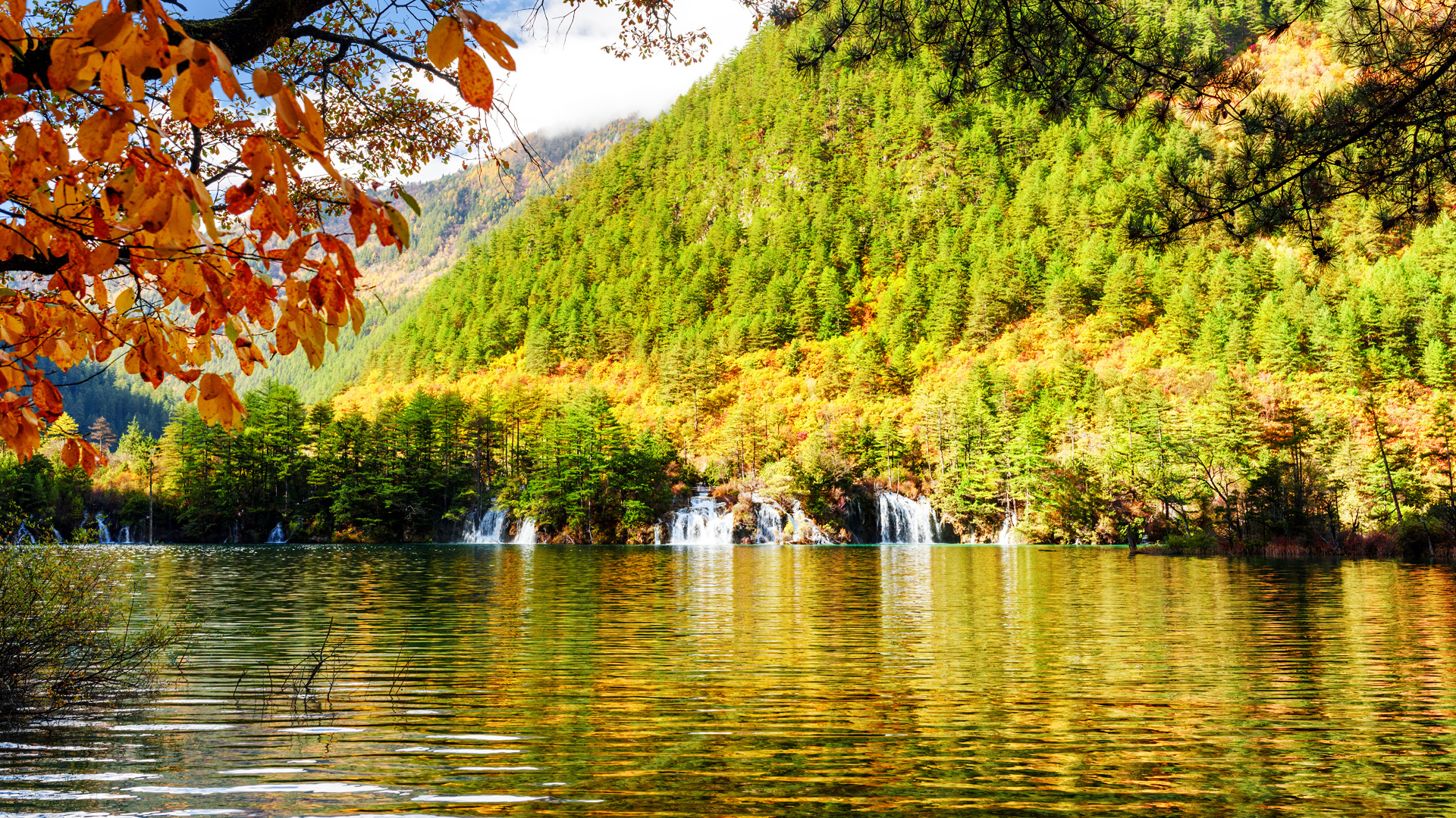 Árboles Verdes Cerca Del Cuerpo de Agua Durante el Día. Wallpaper in 1920x1080 Resolution