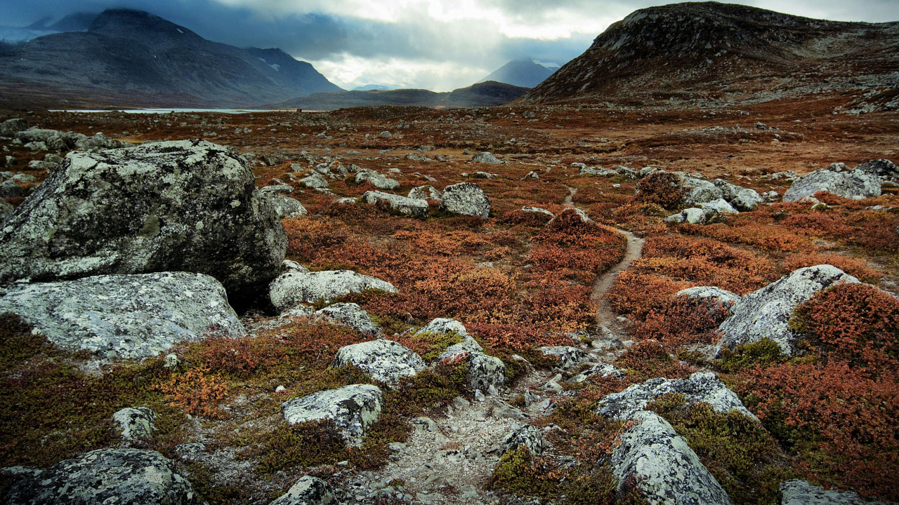 北极, 苔原, 生物群落, 多山的地貌, 高地 壁纸 1280x720 允许