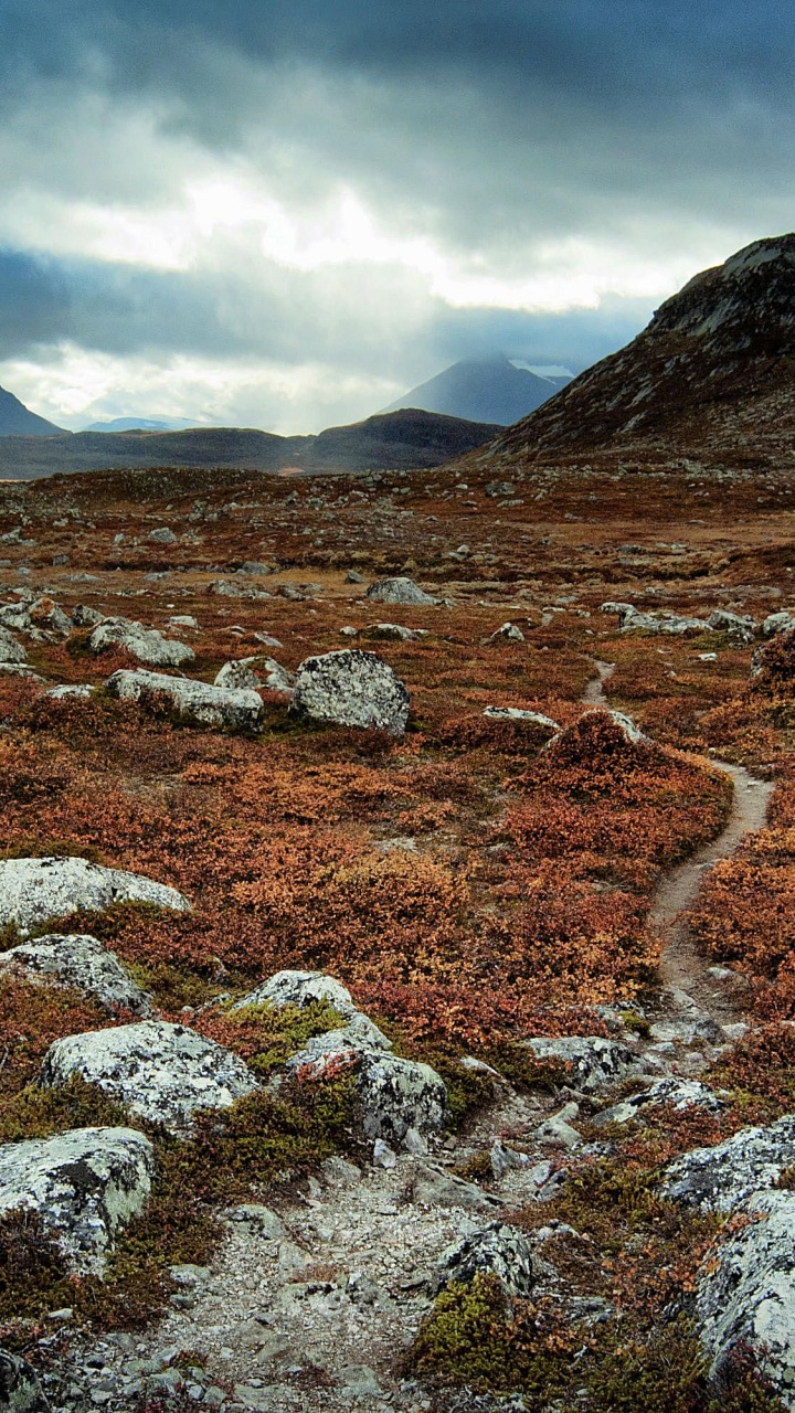 Montagne Rocheuse Brune et Grise Sous un Ciel Nuageux Blanc Pendant la Journée. Wallpaper in 720x1280 Resolution