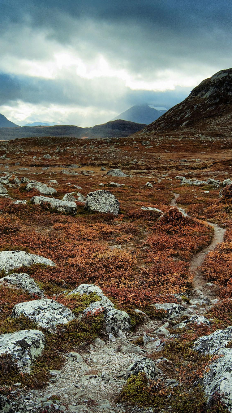Montagne Rocheuse Brune et Grise Sous un Ciel Nuageux Blanc Pendant la Journée. Wallpaper in 750x1334 Resolution