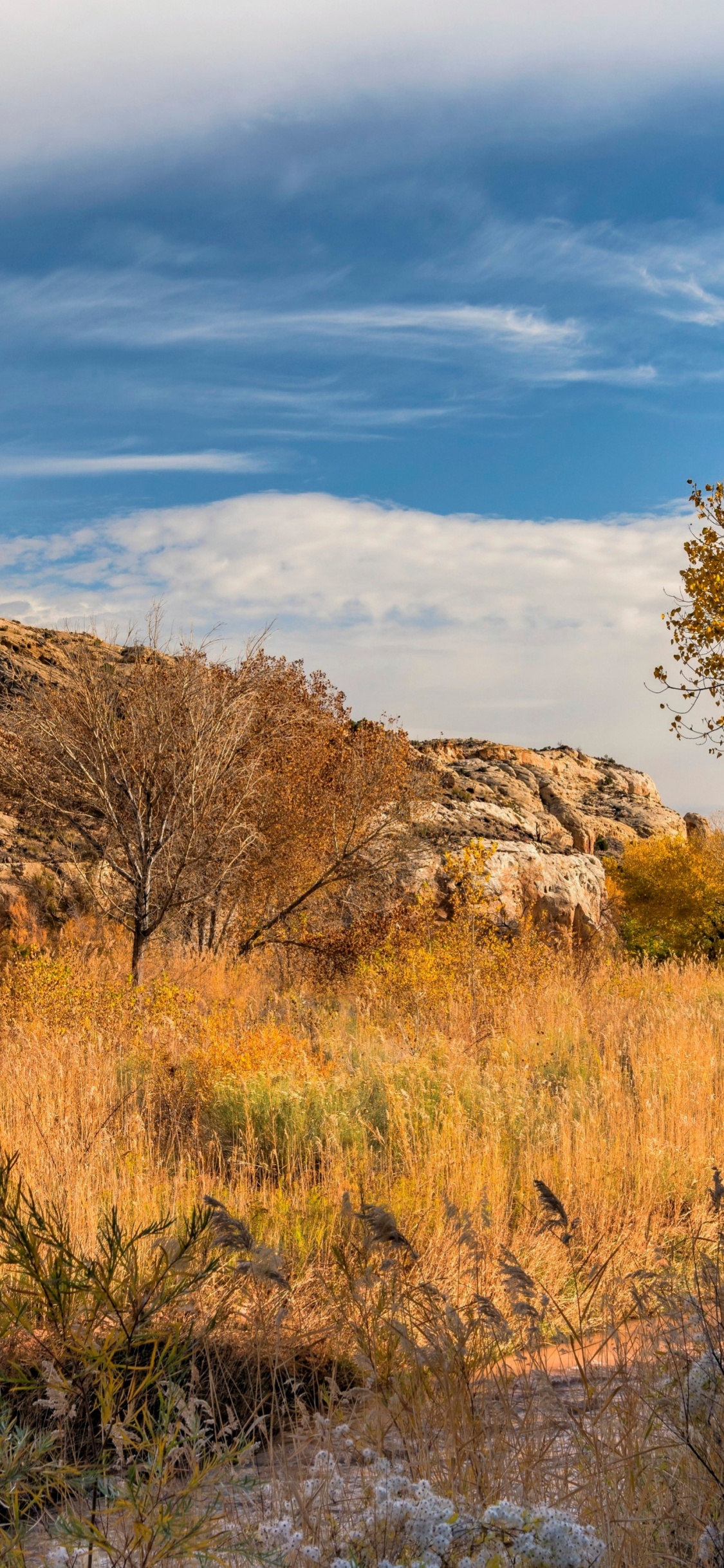 Eau, Paysage Naturel, Highland, Cours D'eau. Wallpaper in 1125x2436 Resolution