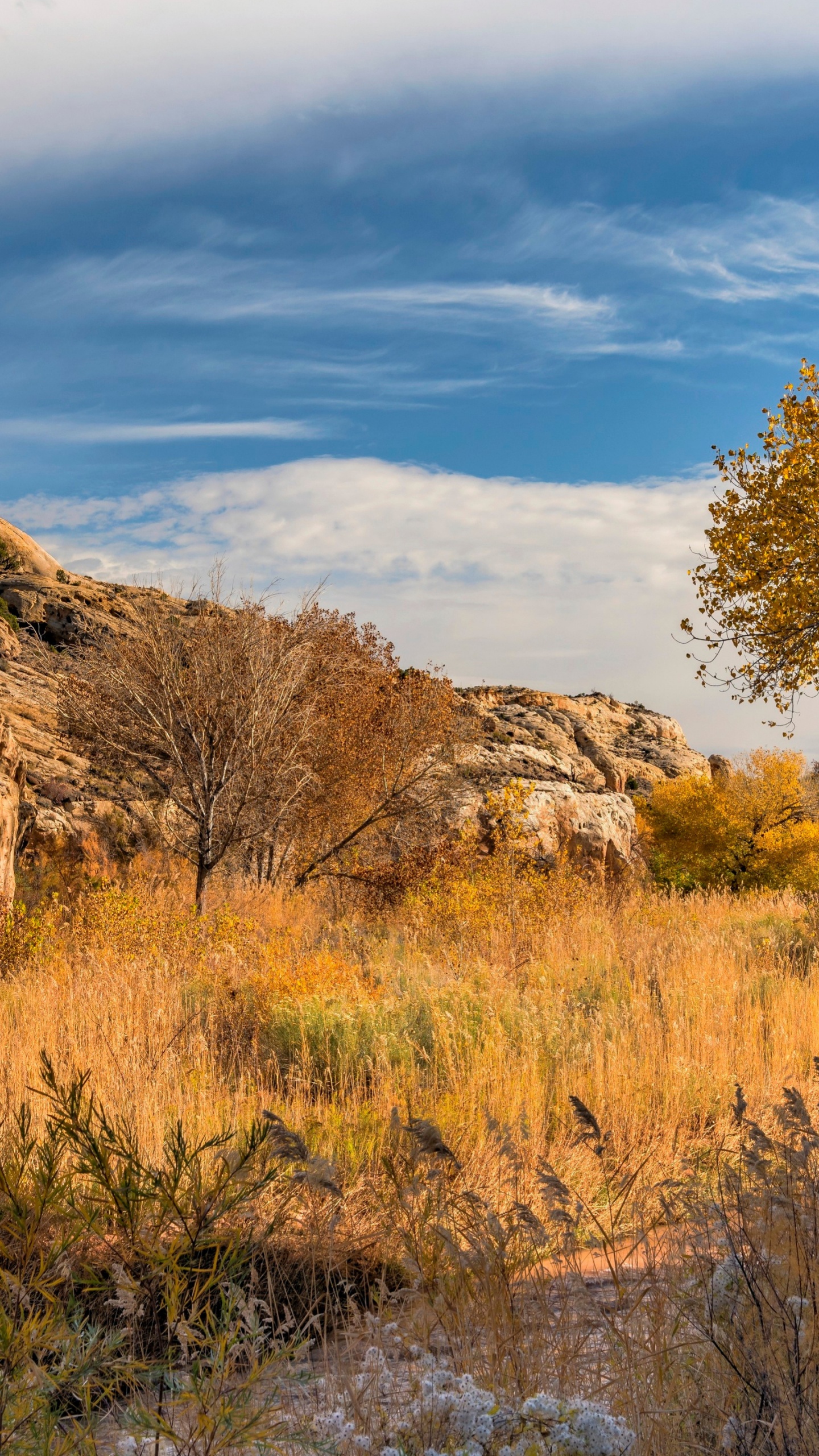 Eau, Paysage Naturel, Highland, Cours D'eau. Wallpaper in 1440x2560 Resolution