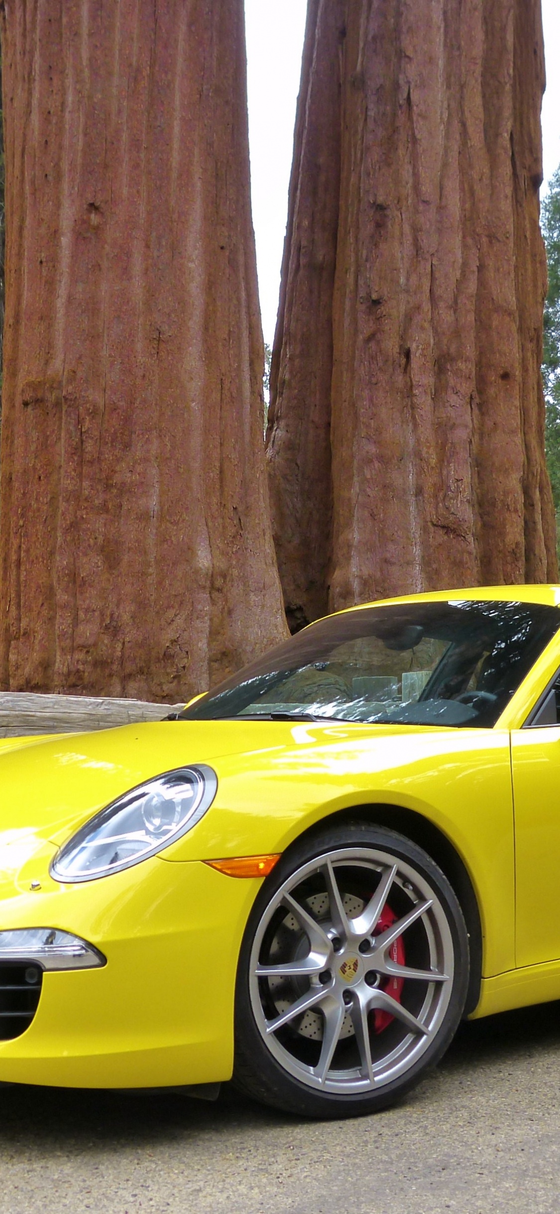 Yellow Porsche 911 Parked Near Brown Wooden Post. Wallpaper in 1125x2436 Resolution