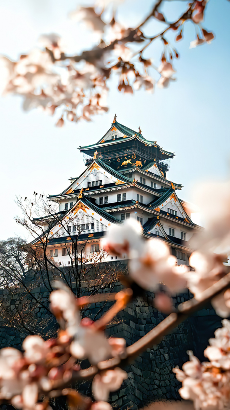 Osaka Castle Park, Osaka Castle, Cherry Blossom, Hiroshima Castle, Castle. Wallpaper in 750x1334 Resolution