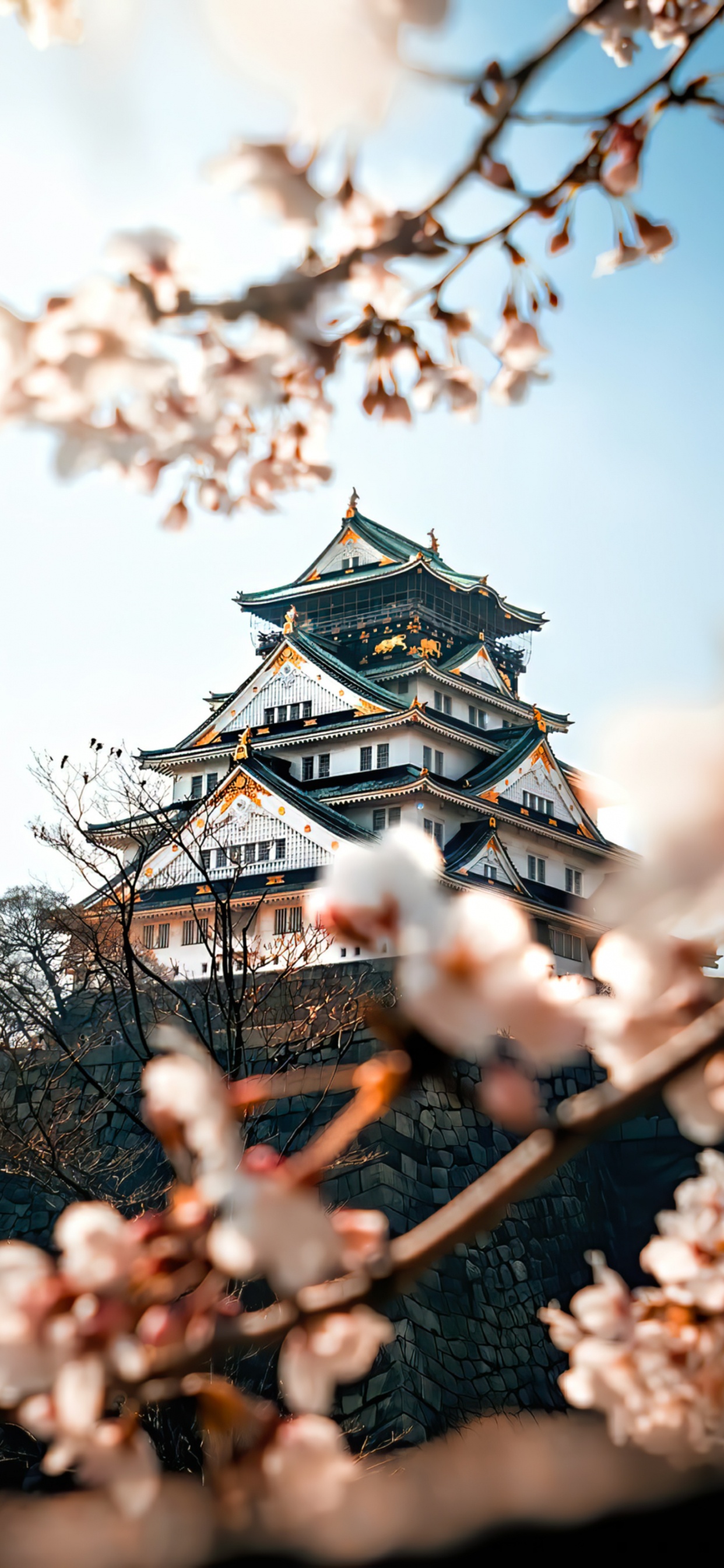 Schlosspark Osaka, Osaka Castle, Kirschblüte, Hiroshima Schloss, Schloss. Wallpaper in 1242x2688 Resolution