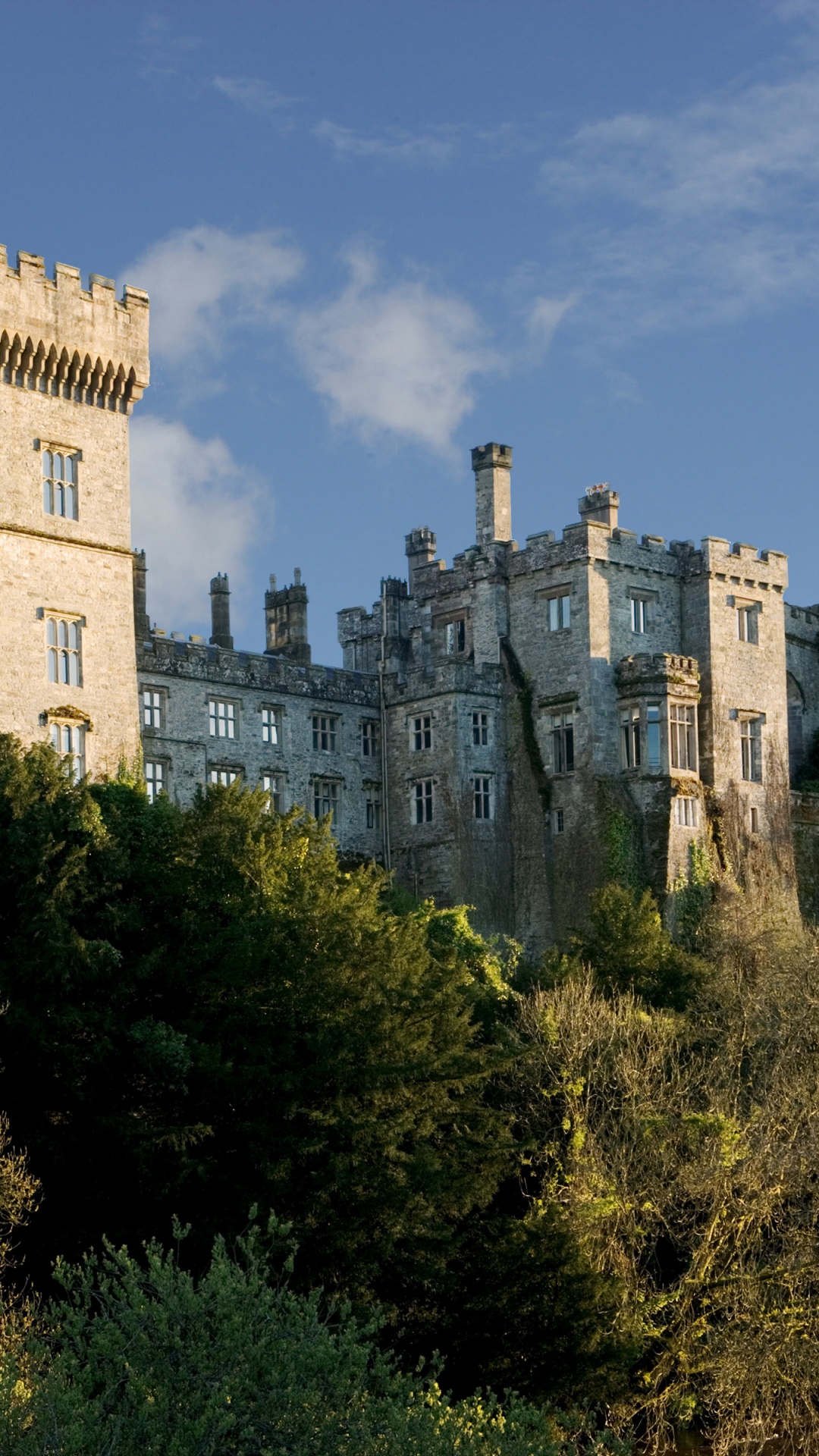 Gray Concrete Castle Under Blue Sky During Daytime. Wallpaper in 1080x1920 Resolution