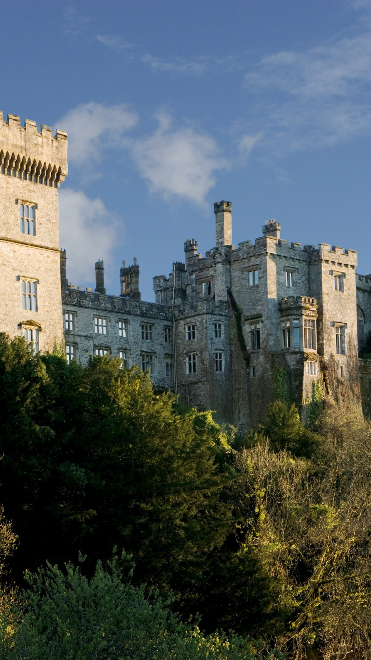 Gray Concrete Castle Under Blue Sky During Daytime. Wallpaper in 750x1334 Resolution