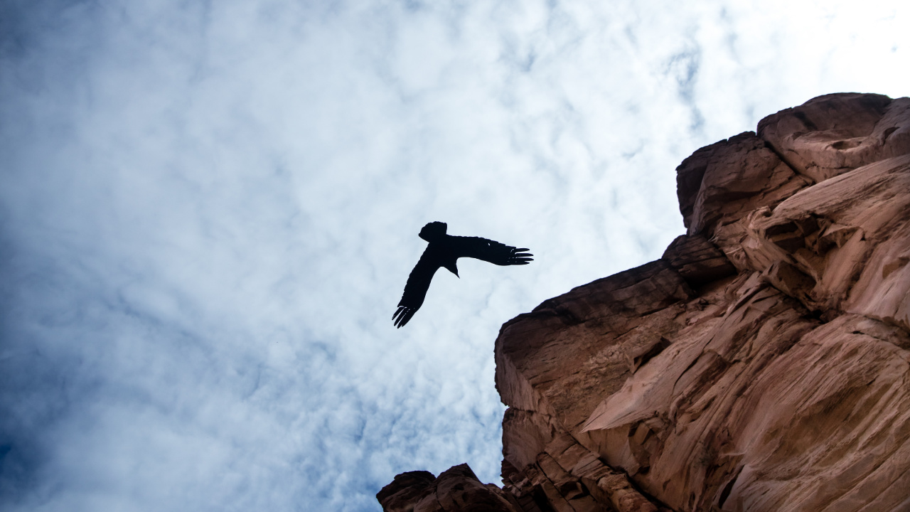 Man Jumping on Brown Rock Formation Sous Les Nuages Blancs et Ciel Bleu Pendant la Journée. Wallpaper in 1280x720 Resolution