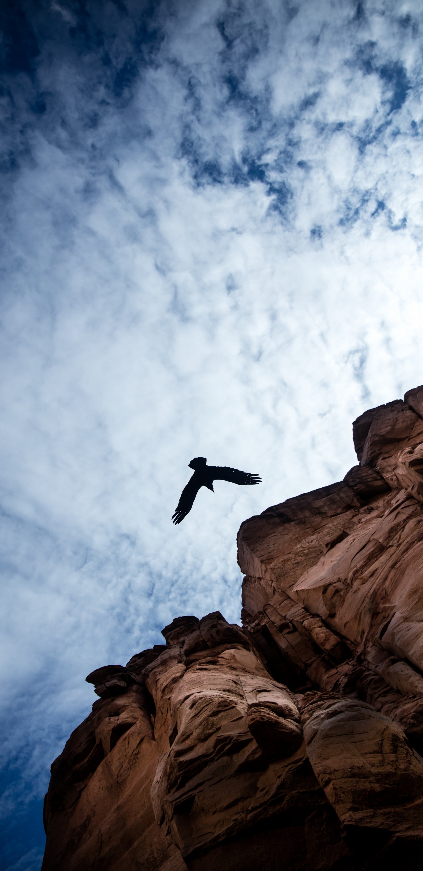 Man Jumping on Brown Rock Formation Sous Les Nuages Blancs et Ciel Bleu Pendant la Journée. Wallpaper in 1440x2960 Resolution