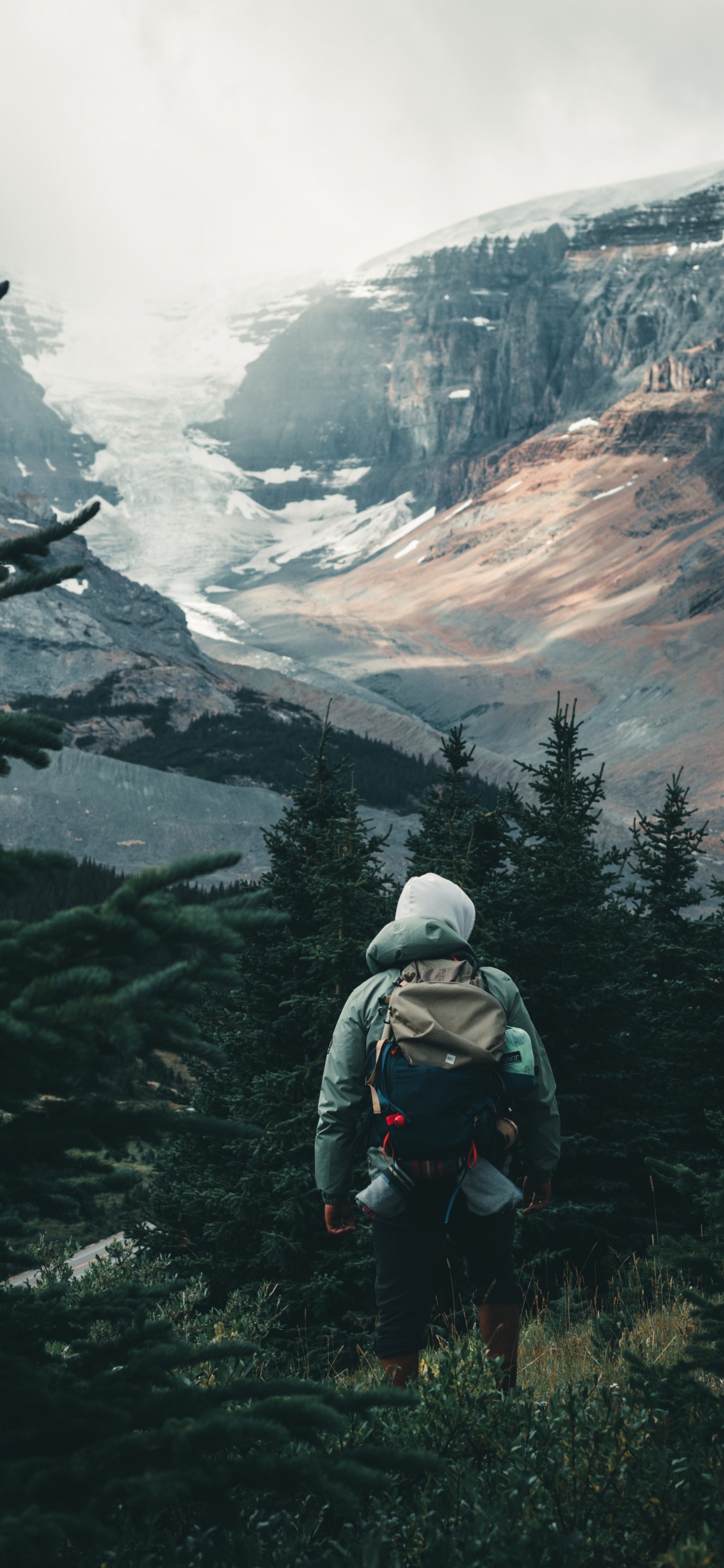 Sina Weibo, Cloud, Mountain, Plant, Larch. Wallpaper in 1125x2436 Resolution