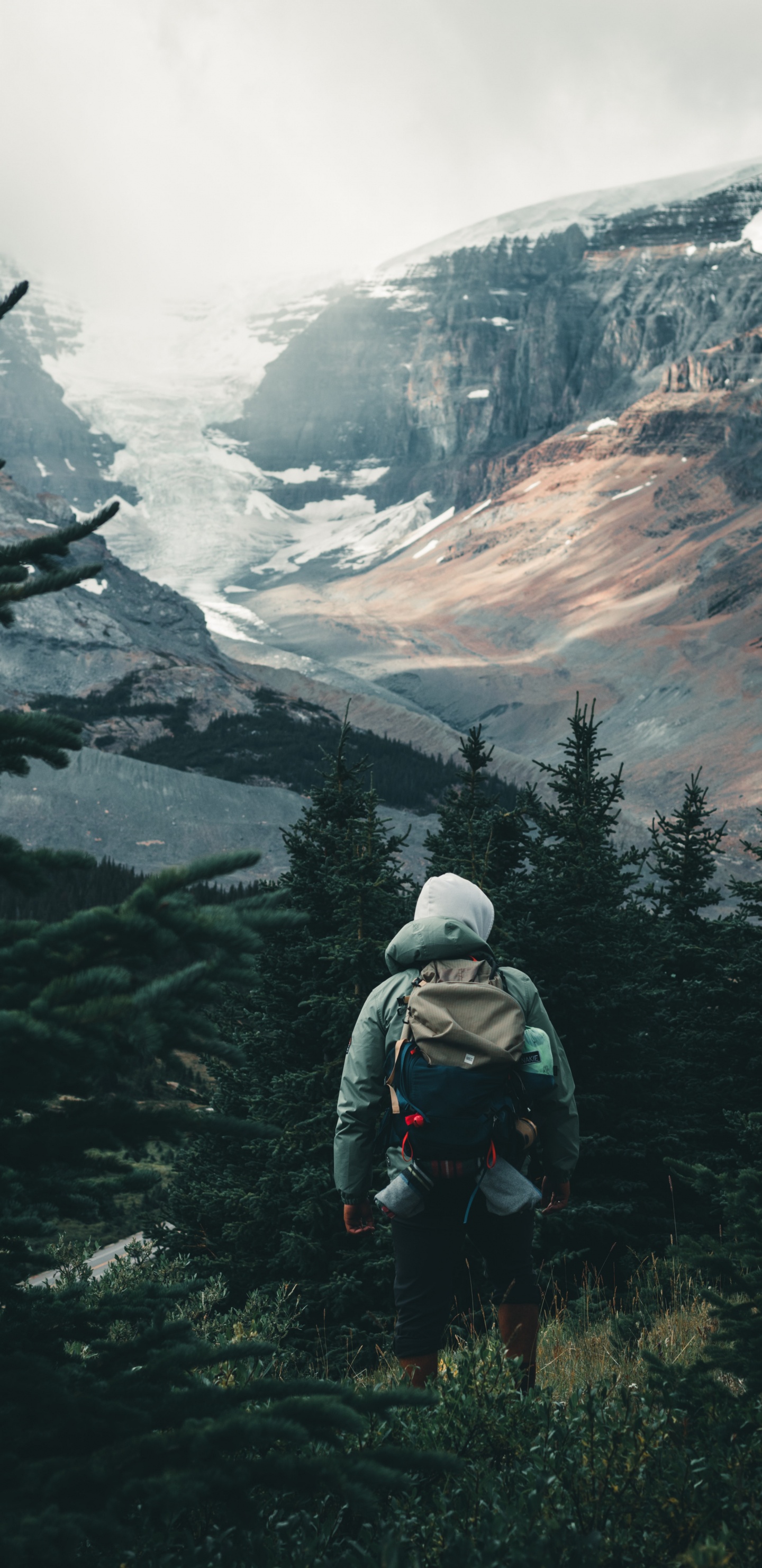 Sina Weibo, Cloud, Mountain, Plant, Larch. Wallpaper in 1440x2960 Resolution