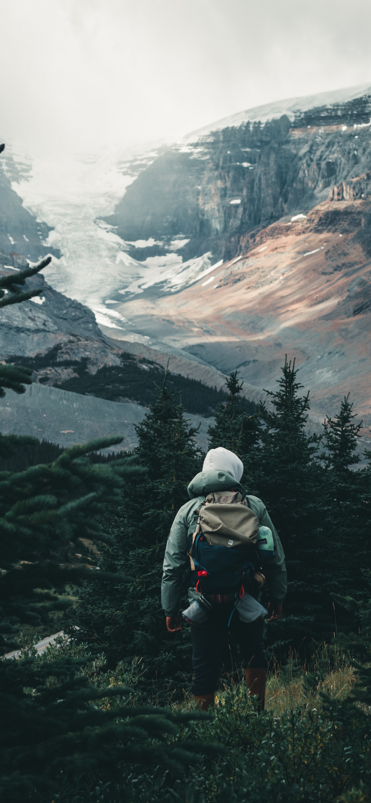 Sina Weibo, Montaña, Alerce, Highland, Nieve. Wallpaper in 1242x2688 Resolution