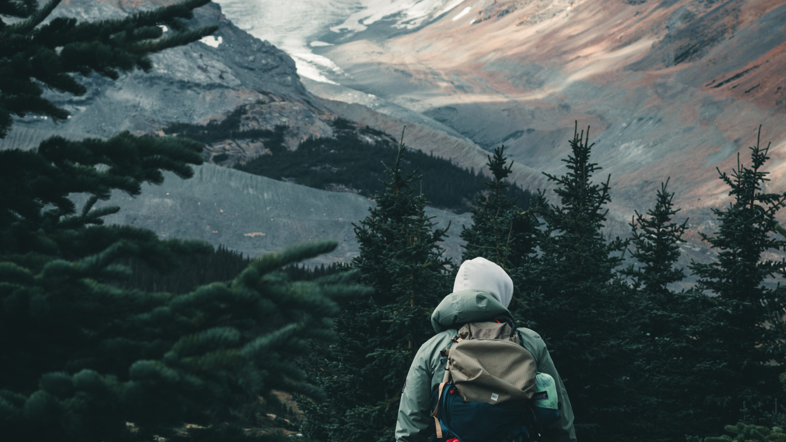 Sina Weibo, Montaña, Alerce, Highland, Nieve. Wallpaper in 2560x1440 Resolution