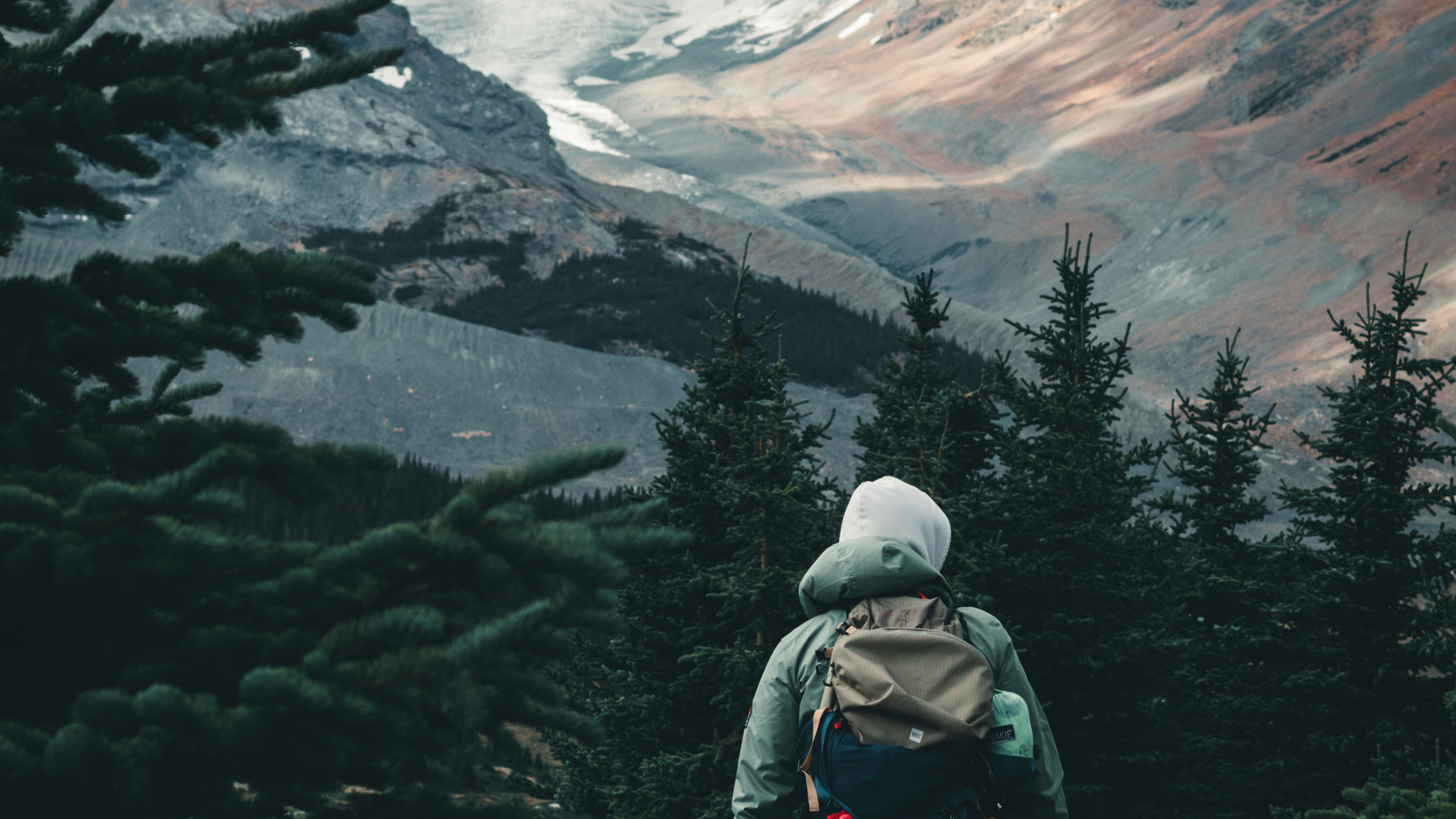 Sina Weibo, Montaña, Alerce, Highland, Nieve. Wallpaper in 3840x2160 Resolution