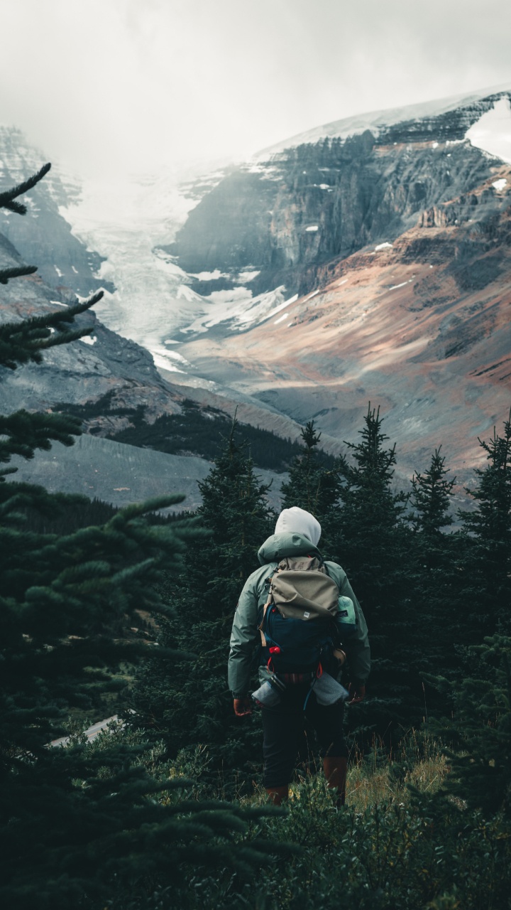 Sina Weibo, Montaña, Alerce, Highland, Nieve. Wallpaper in 720x1280 Resolution