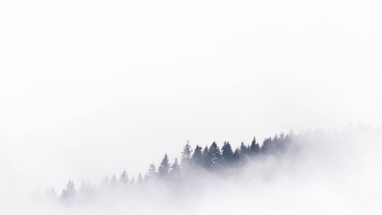 Wei, Smartphone, Android, Nebel, Cloud. Wallpaper in 1280x720 Resolution