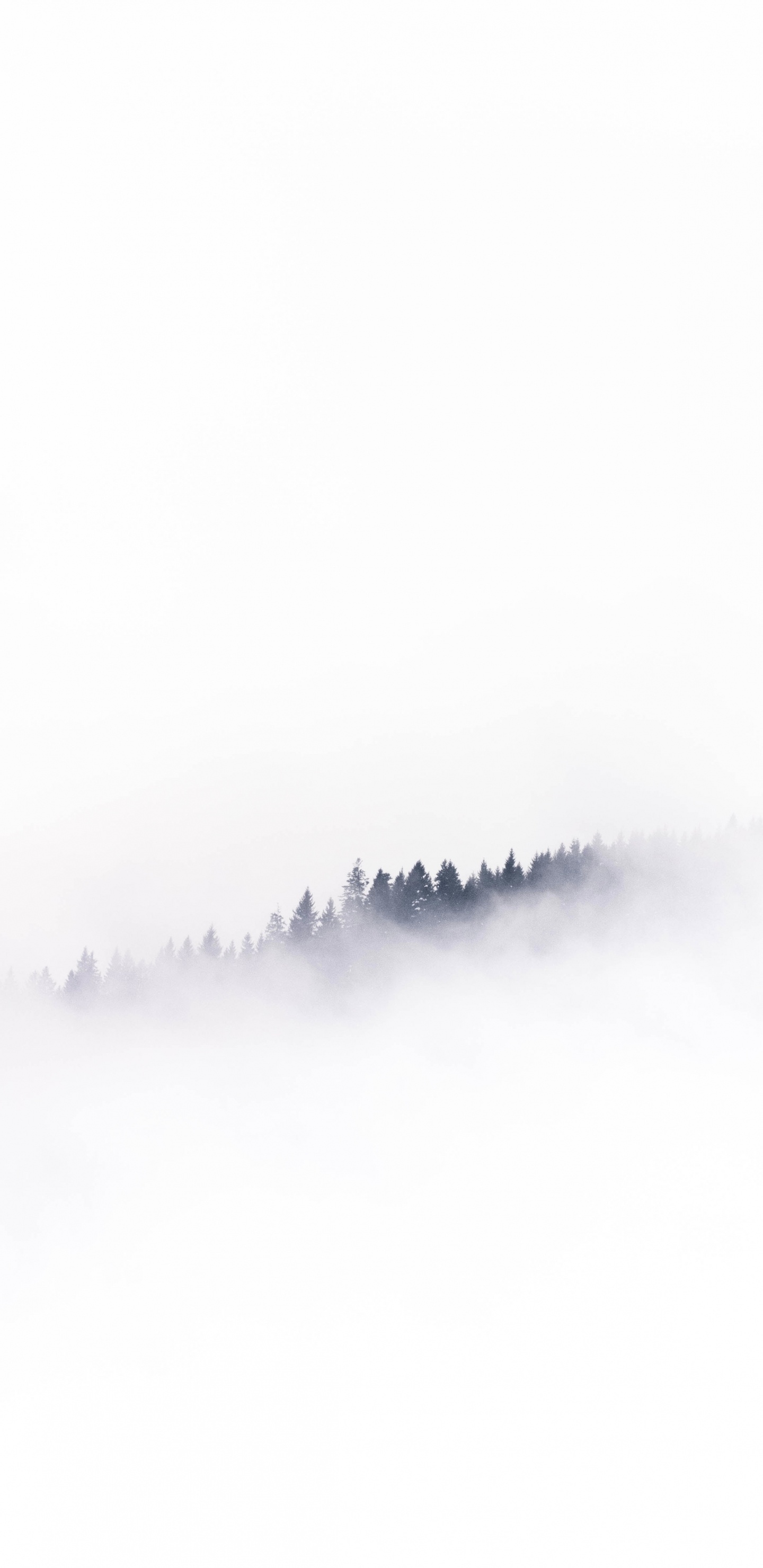 Wei, Smartphone, Android, Nebel, Cloud. Wallpaper in 1440x2960 Resolution
