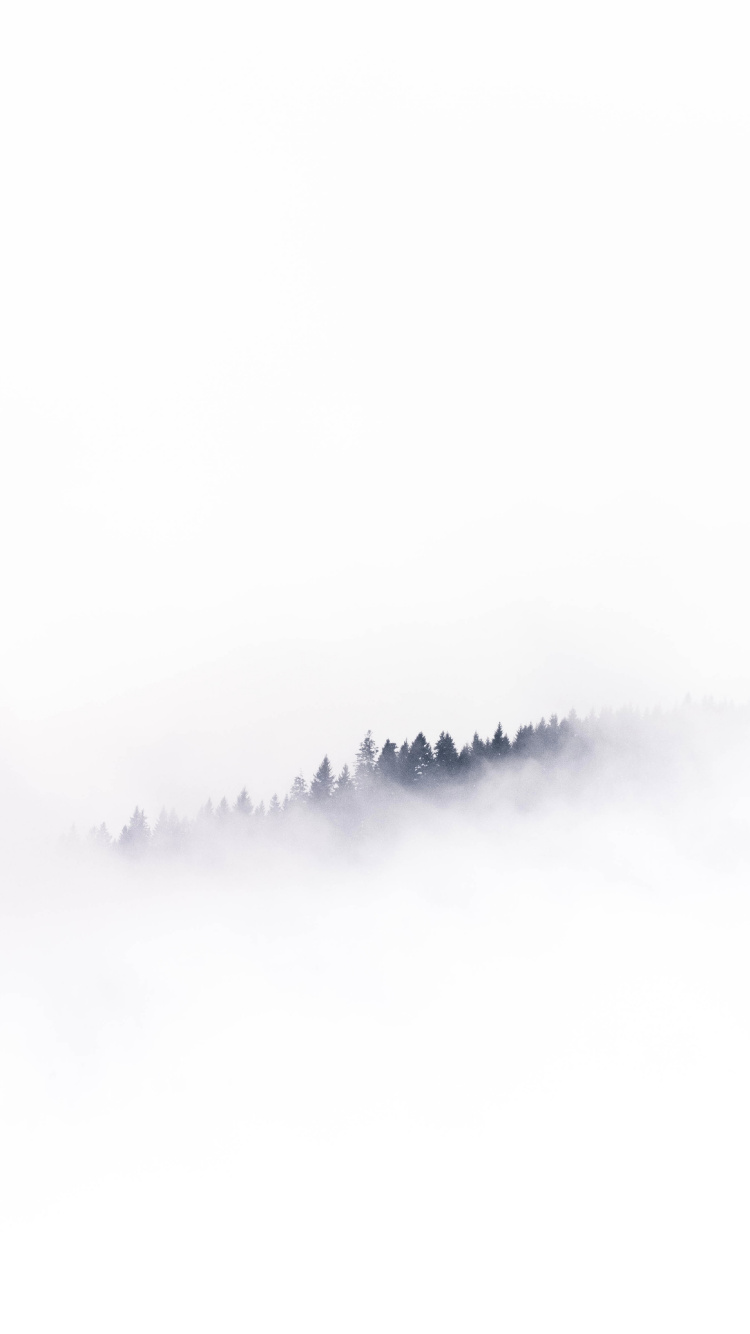 White, Smartphone, Android, Brouillard, Gris. Wallpaper in 750x1334 Resolution