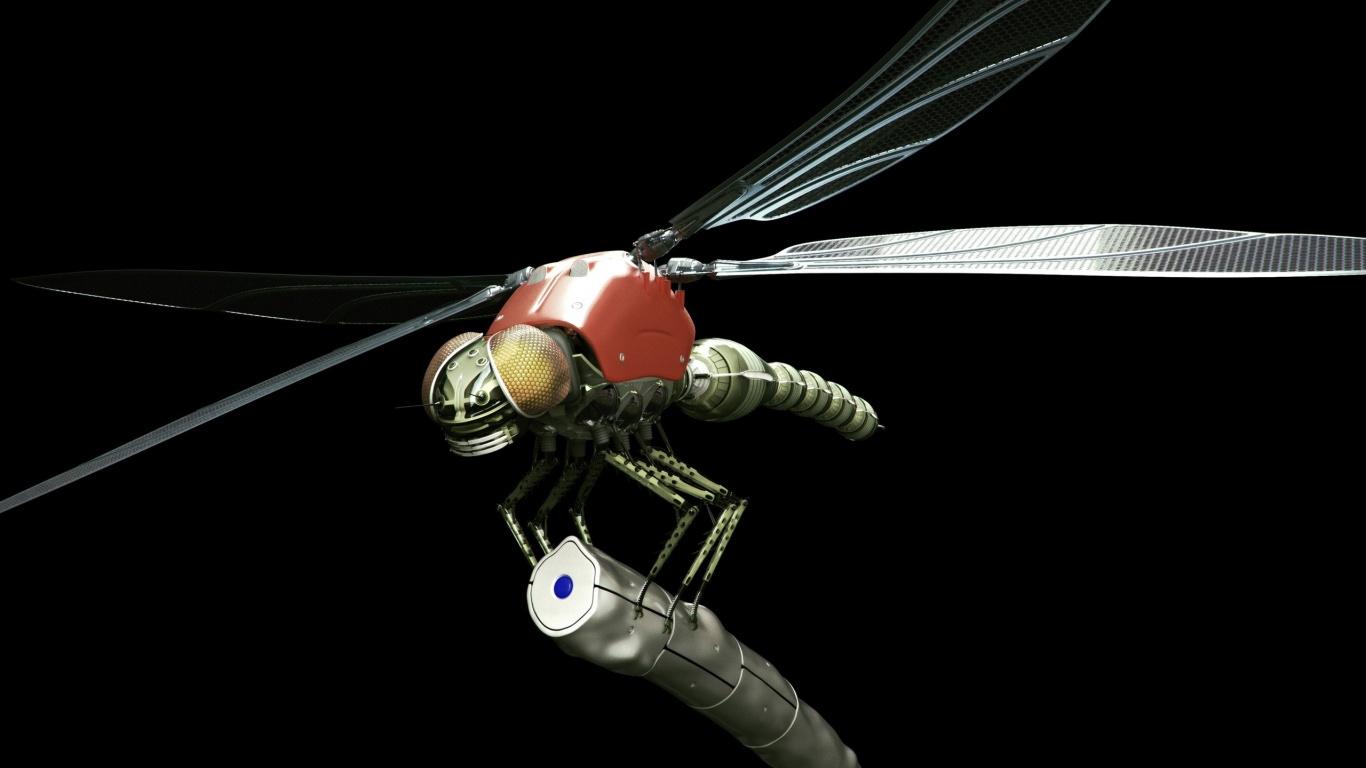 蜻蜓和damseflies, 翼, 无脊椎动物 壁纸 1366x768 允许