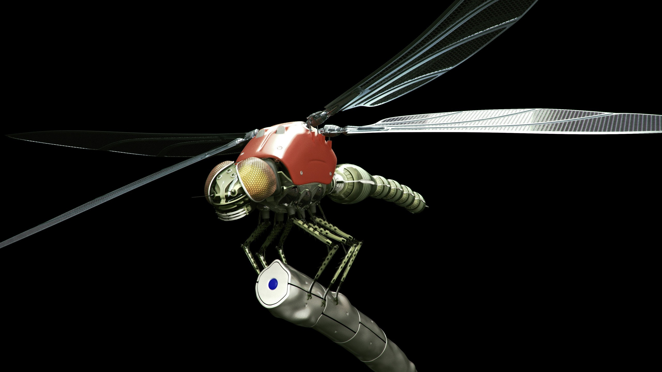 蜻蜓和damseflies, 翼, 无脊椎动物 壁纸 2560x1440 允许