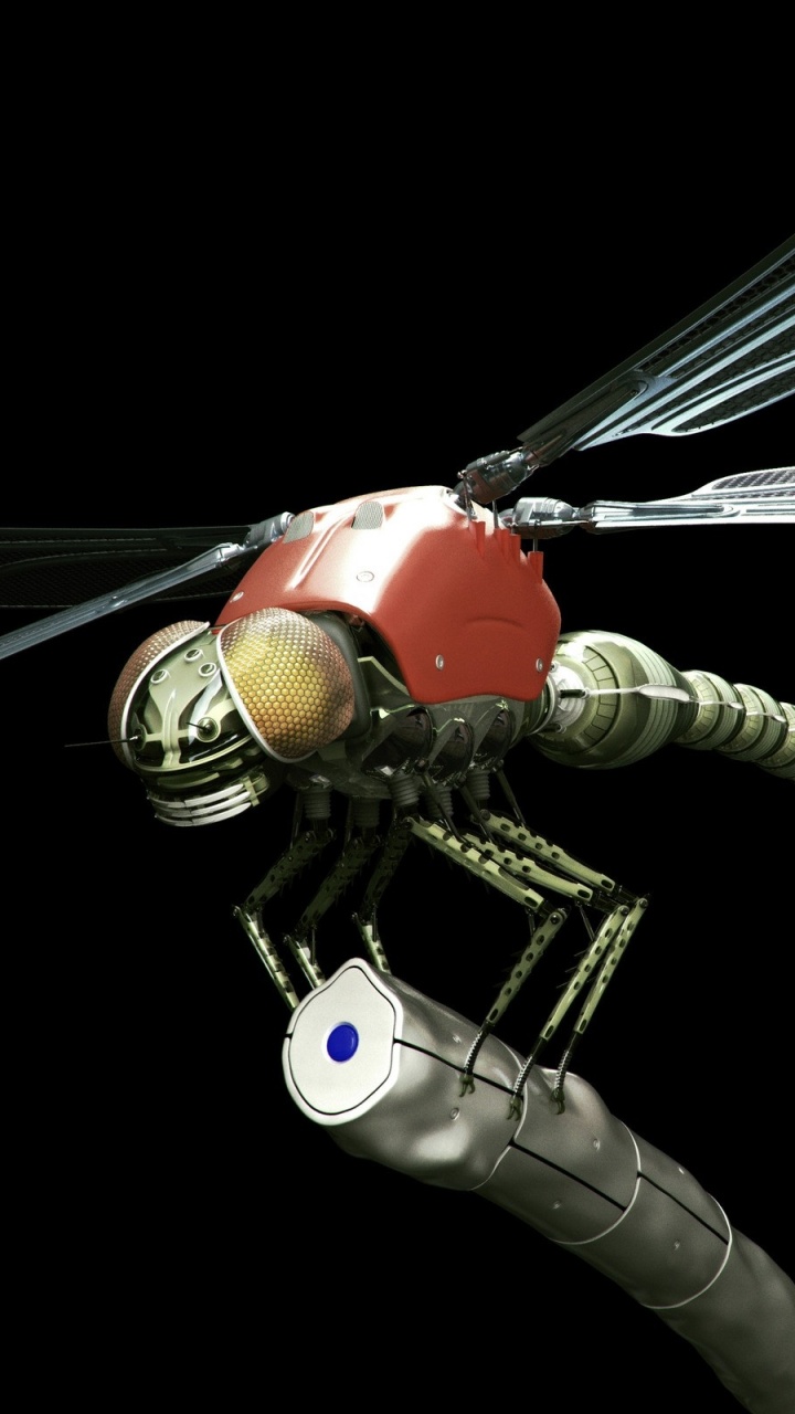 蜻蜓和damseflies, 翼, 无脊椎动物 壁纸 720x1280 允许