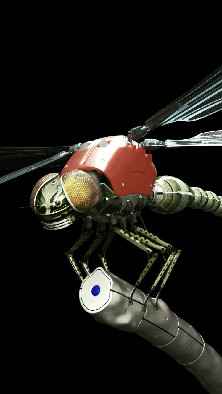 蜻蜓和damseflies, 翼, 无脊椎动物 壁纸 750x1334 允许