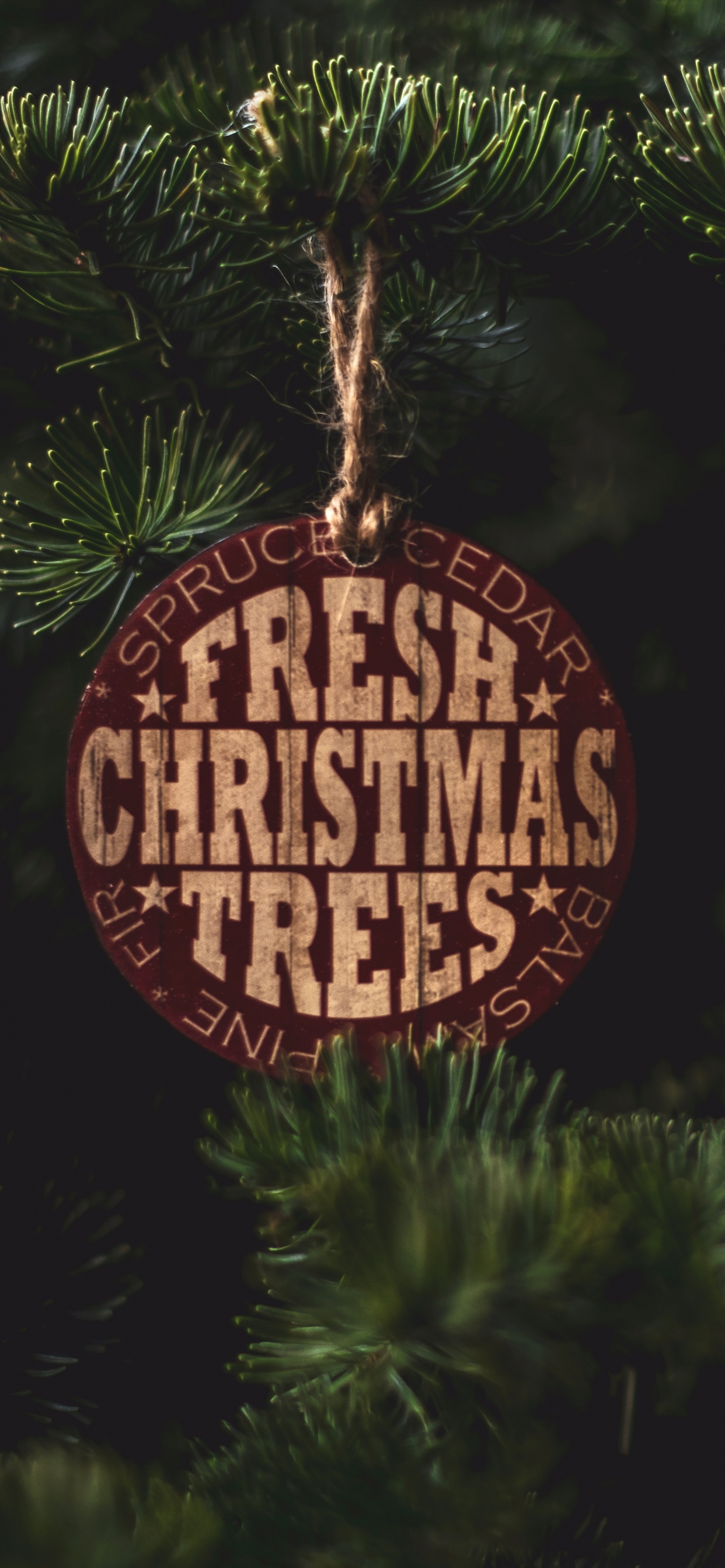 Rote Und Braune Hängeornament. Wallpaper in 1242x2688 Resolution