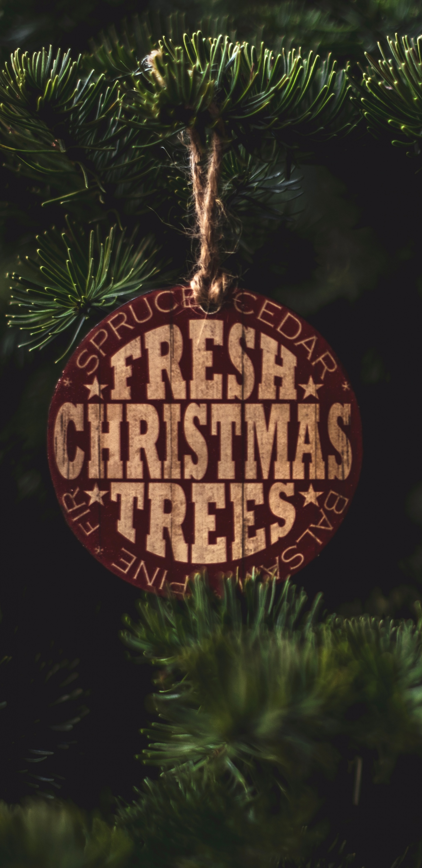 Rote Und Braune Hängeornament. Wallpaper in 1440x2960 Resolution