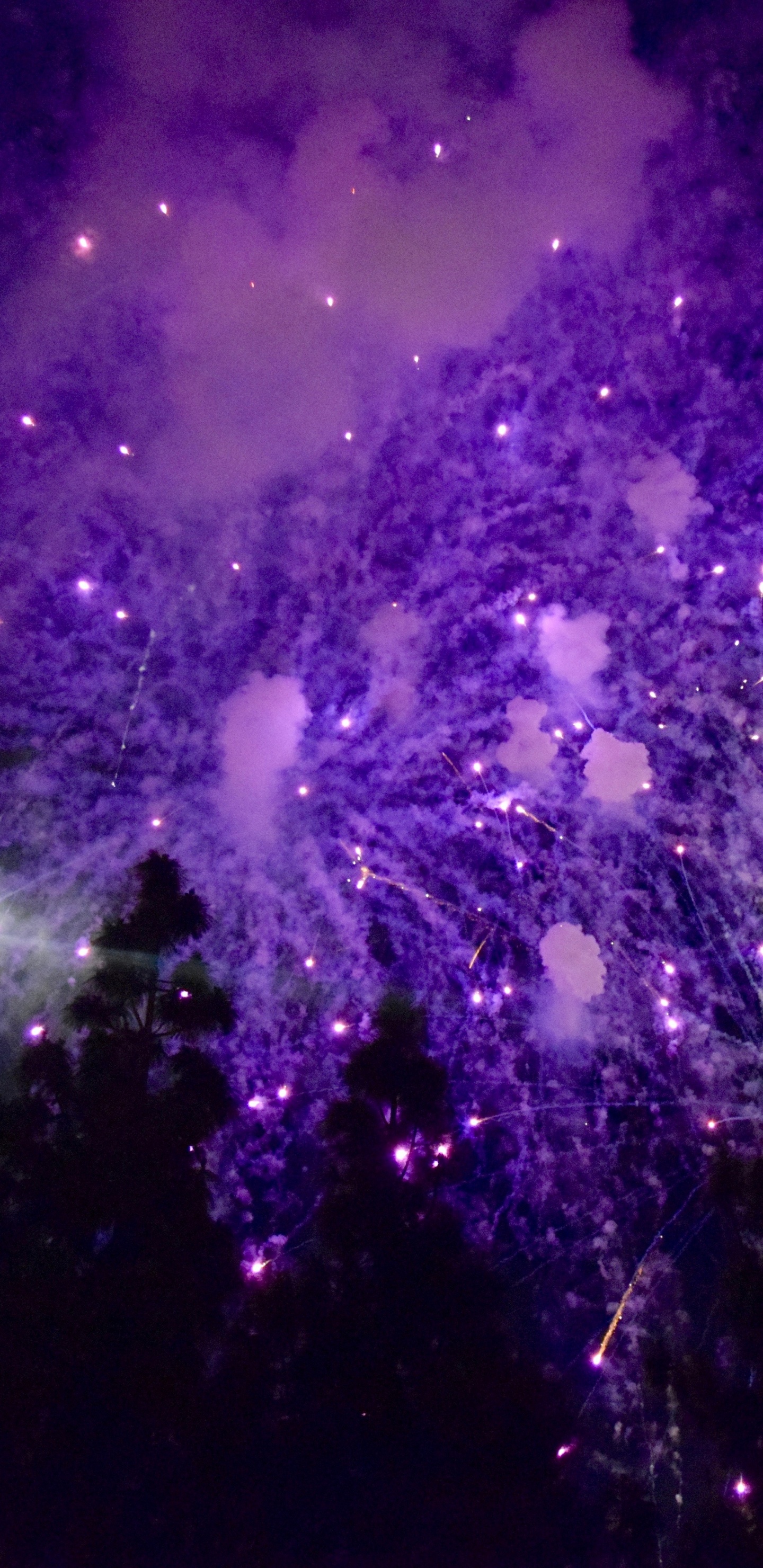 Violet, Purple, Light, Darkness, Pink. Wallpaper in 1440x2960 Resolution