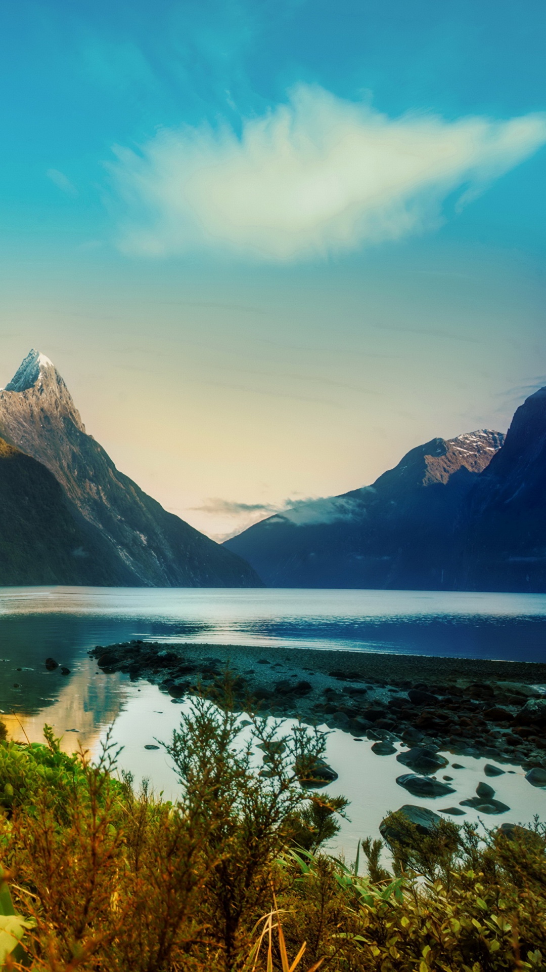 Grünes Gras Und Bäume in Der Nähe Von Gewässern Tagsüber. Wallpaper in 1080x1920 Resolution