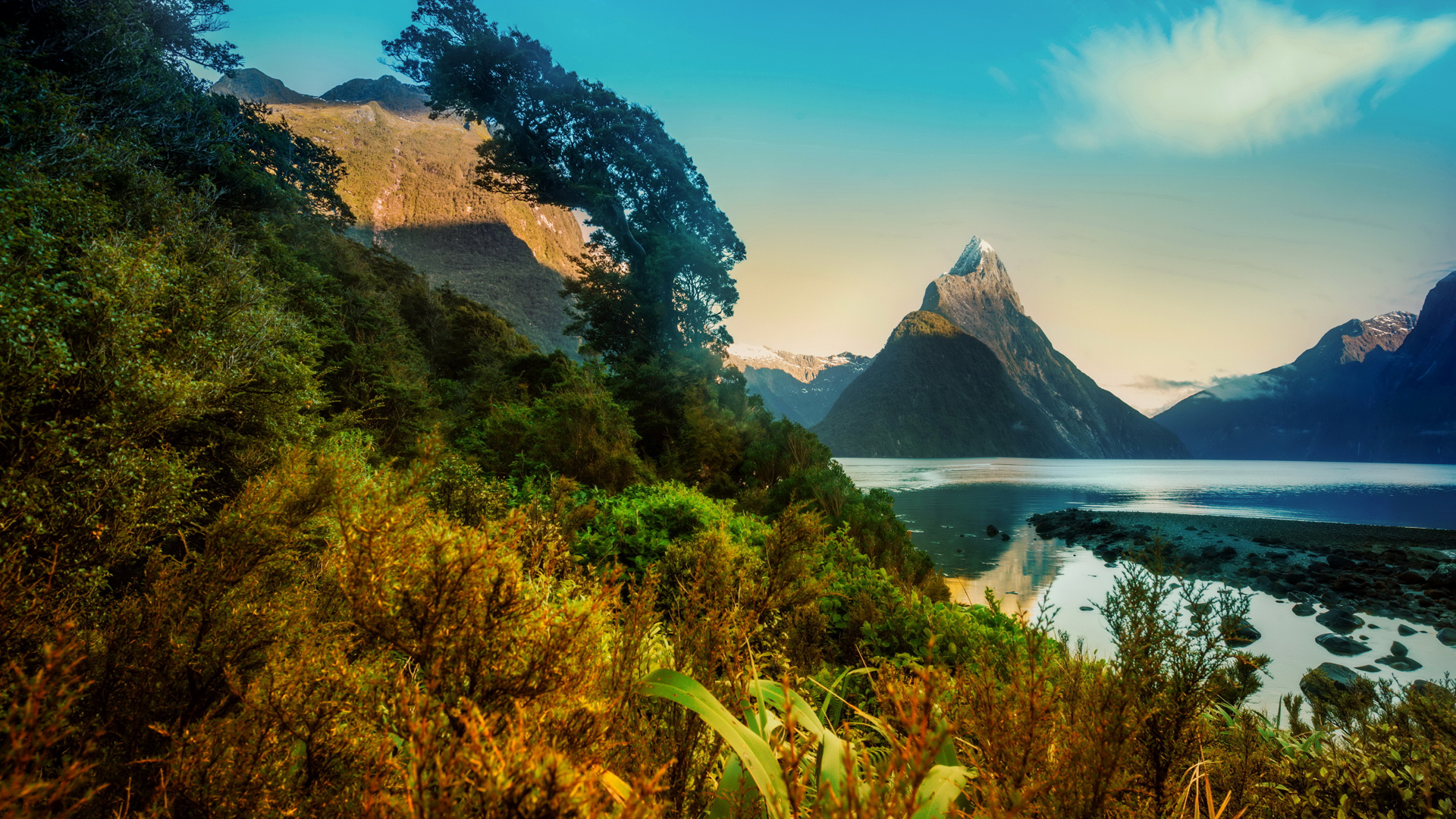 Green Grass and Trees Near Body of Water During Daytime. Wallpaper in 1920x1080 Resolution