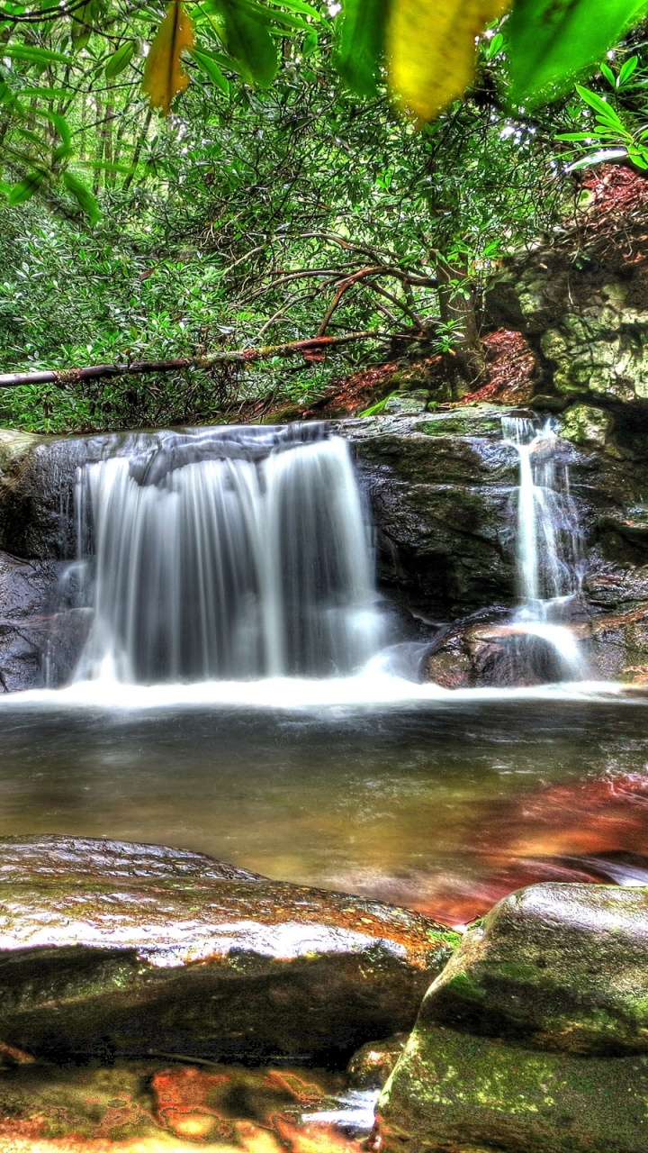 Water Falls in The Middle of The Forest. Wallpaper in 720x1280 Resolution