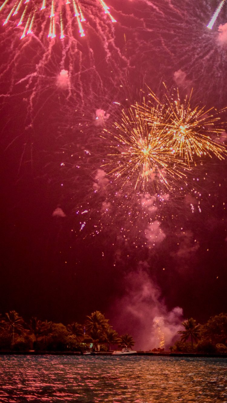 Artifice, le Jour de L'an, Red, Nuit, Pink. Wallpaper in 750x1334 Resolution