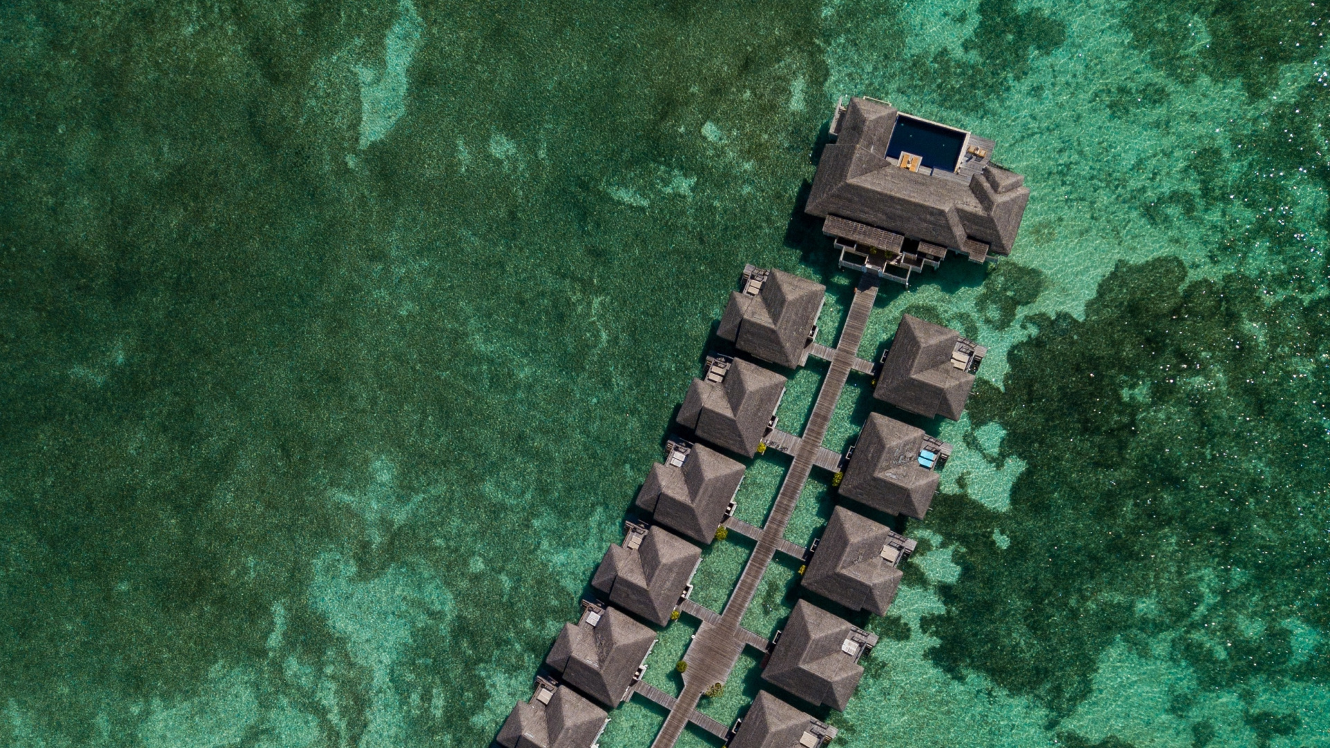 Smartphone, Téléphone, Green, Reptile, Bijouterie. Wallpaper in 1920x1080 Resolution