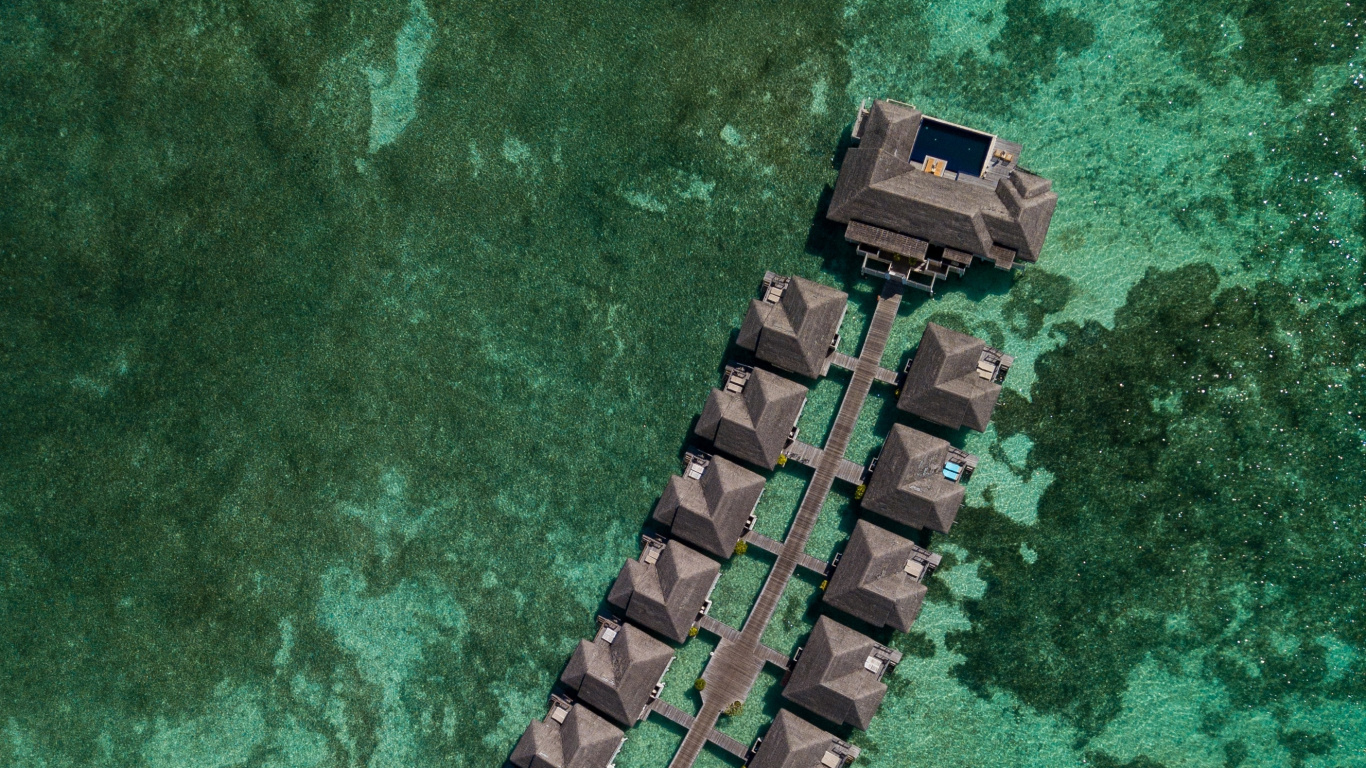 Smartphone, Telefon, Gr, Krokodil, Reptil. Wallpaper in 1366x768 Resolution