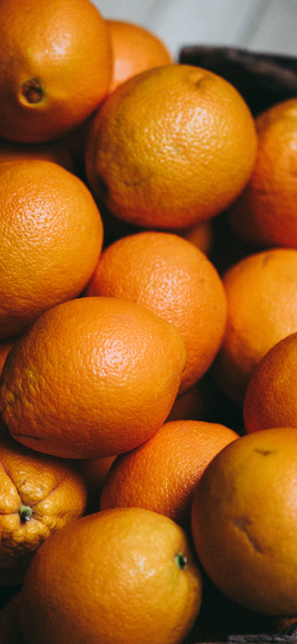 橙色, 朗布尔, Clementine, 橘子, 食品 壁纸 1125x2436 允许