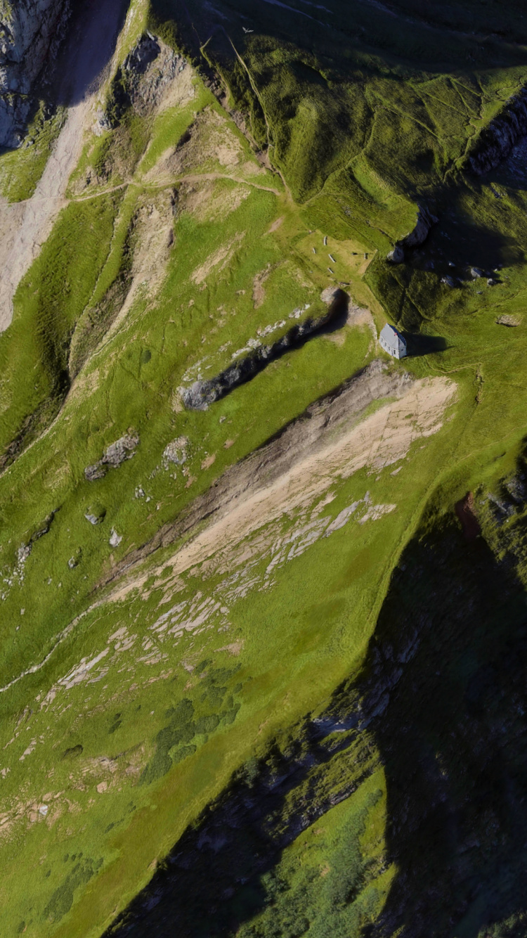 谷歌, Google Pixel 4, 像素5, 像素3, 安卓 壁纸 750x1334 允许